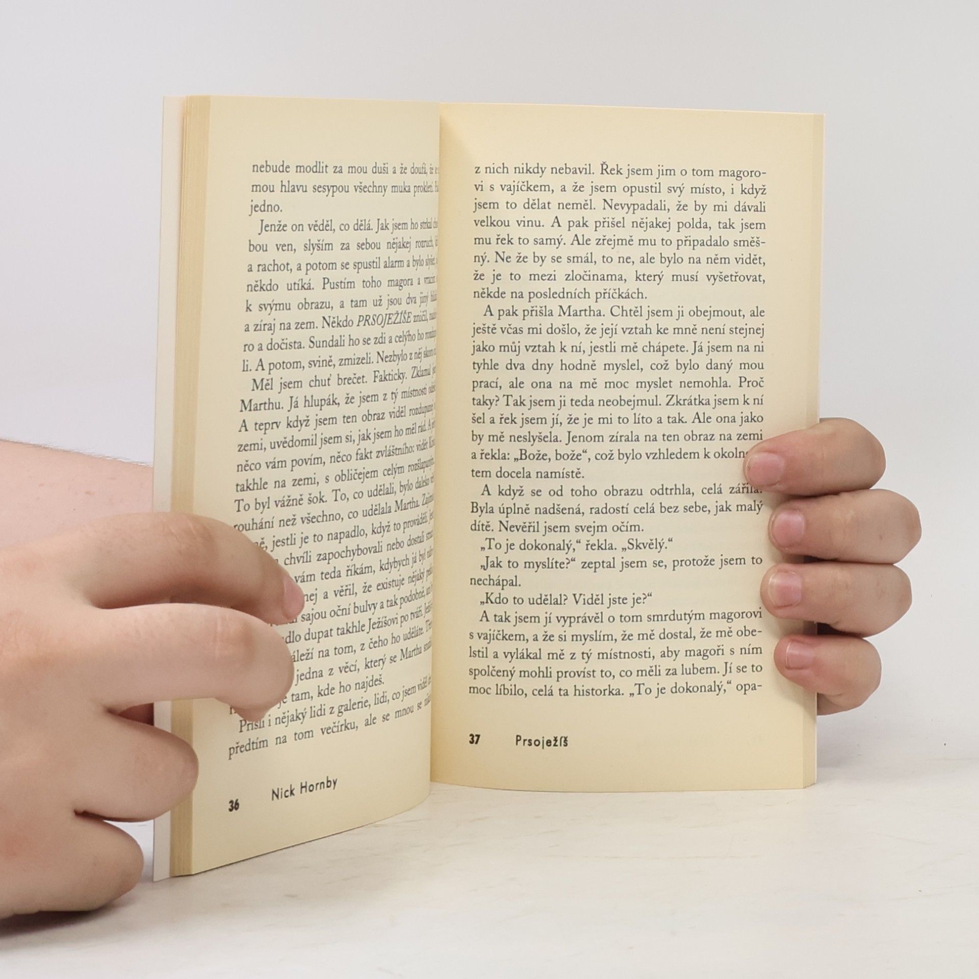 Autorenkollektiv Svátek knih