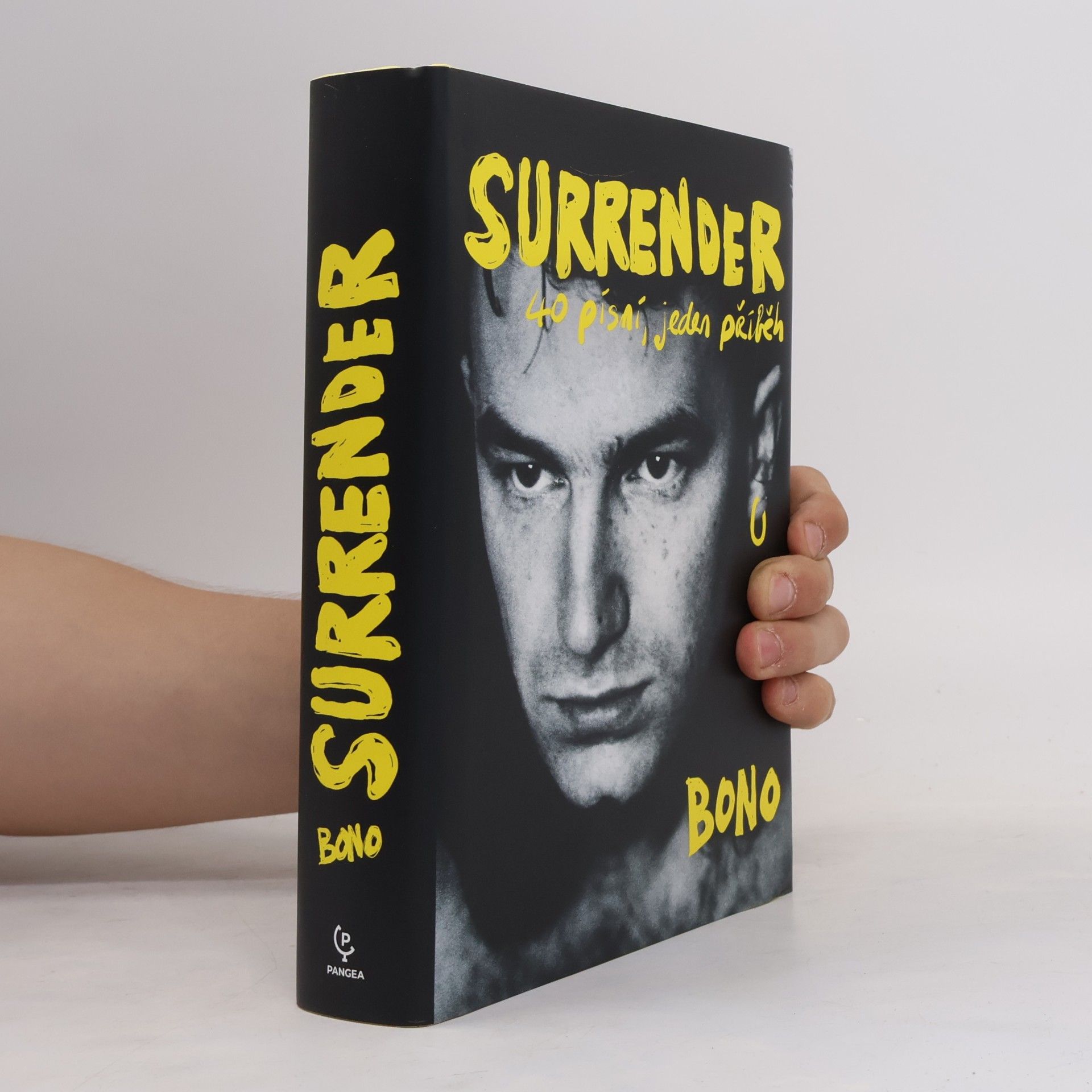 Bono Surrender : 40 písní, jeden příběh