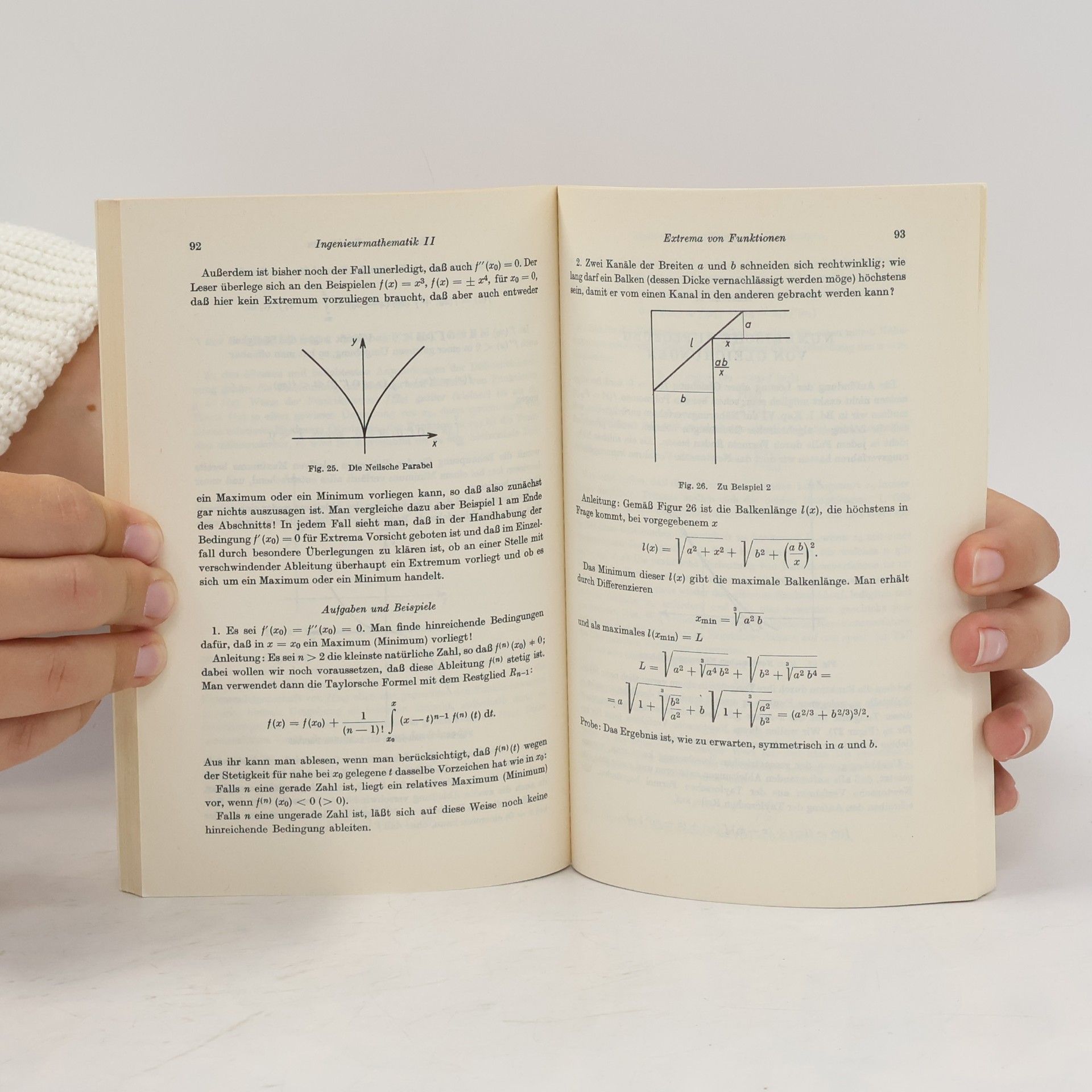 Detlef Laugwitz Ingenieurmathematik. Band 2