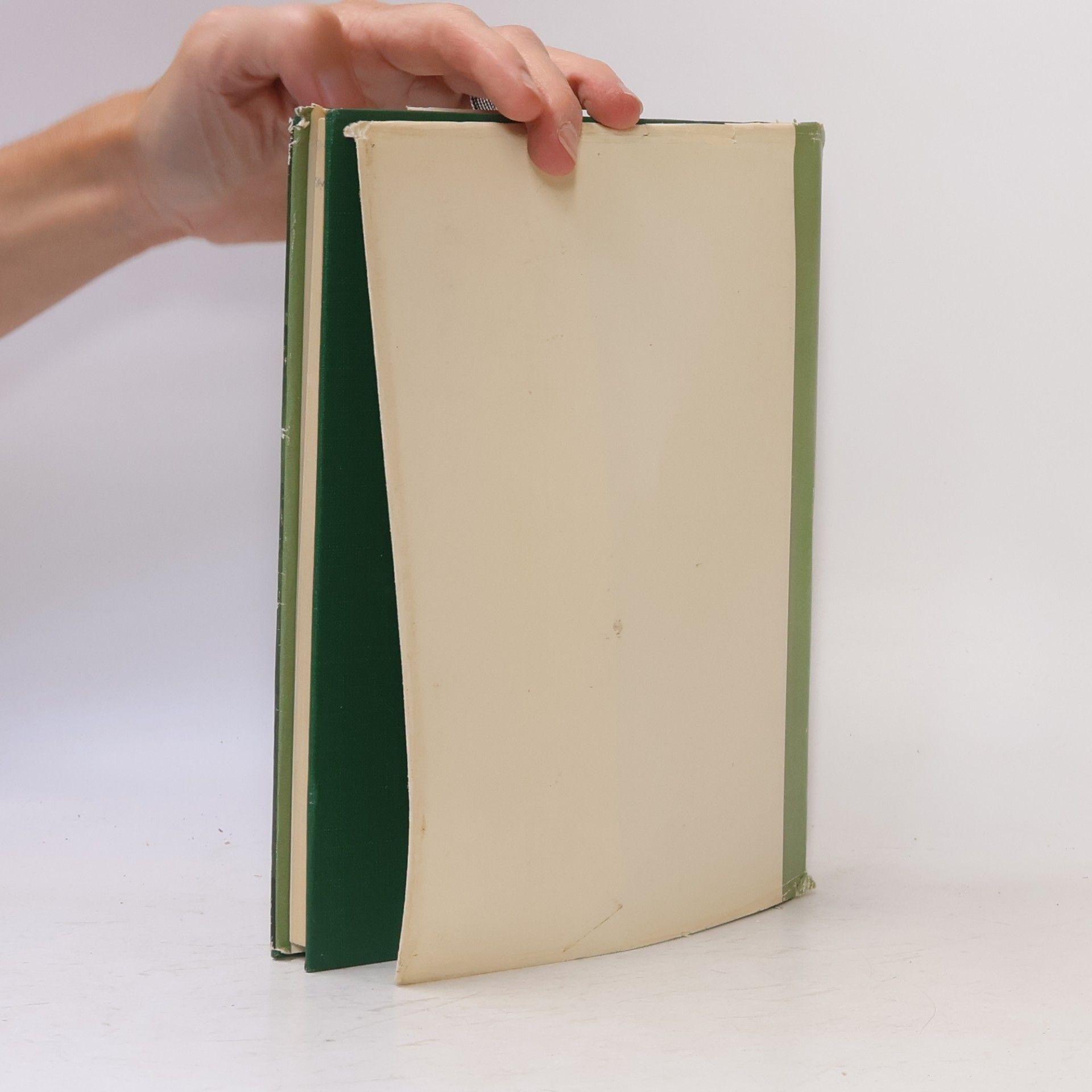 Kurt Fritsche Das große Fotofehler-Buch