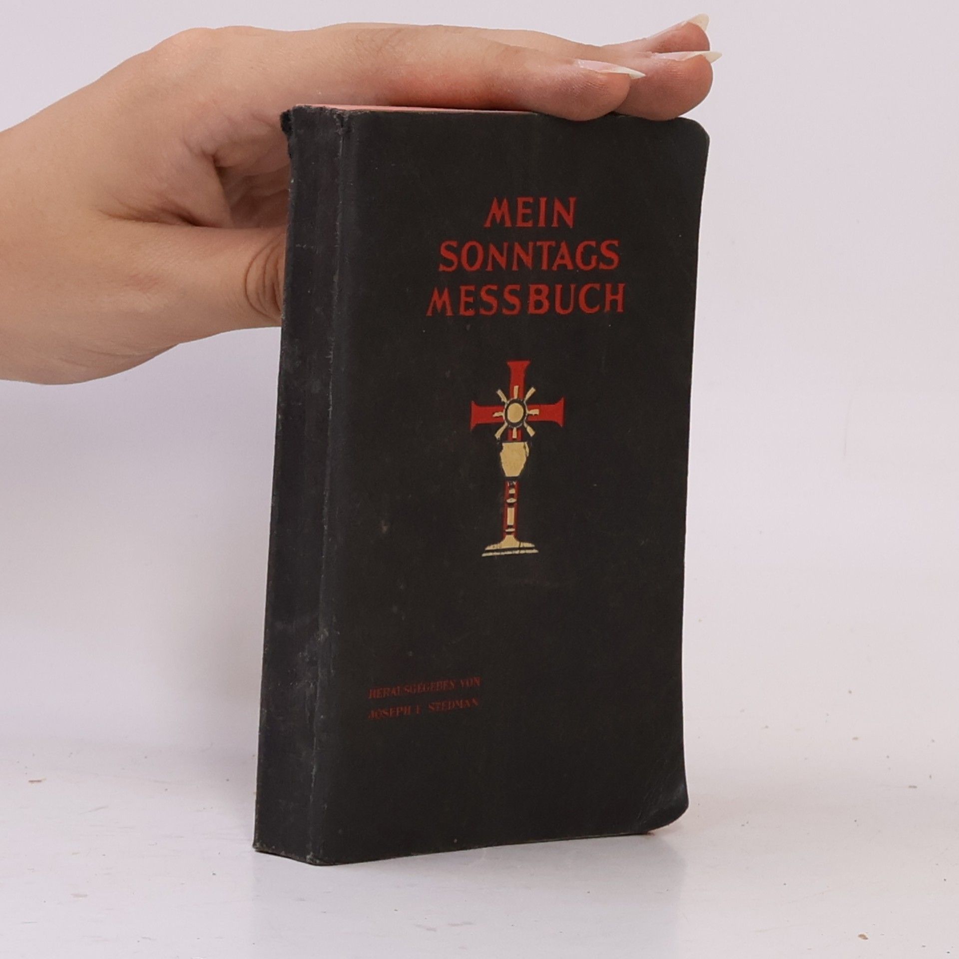 Joseph F. Stedman Mein Sonntags-Messbuch