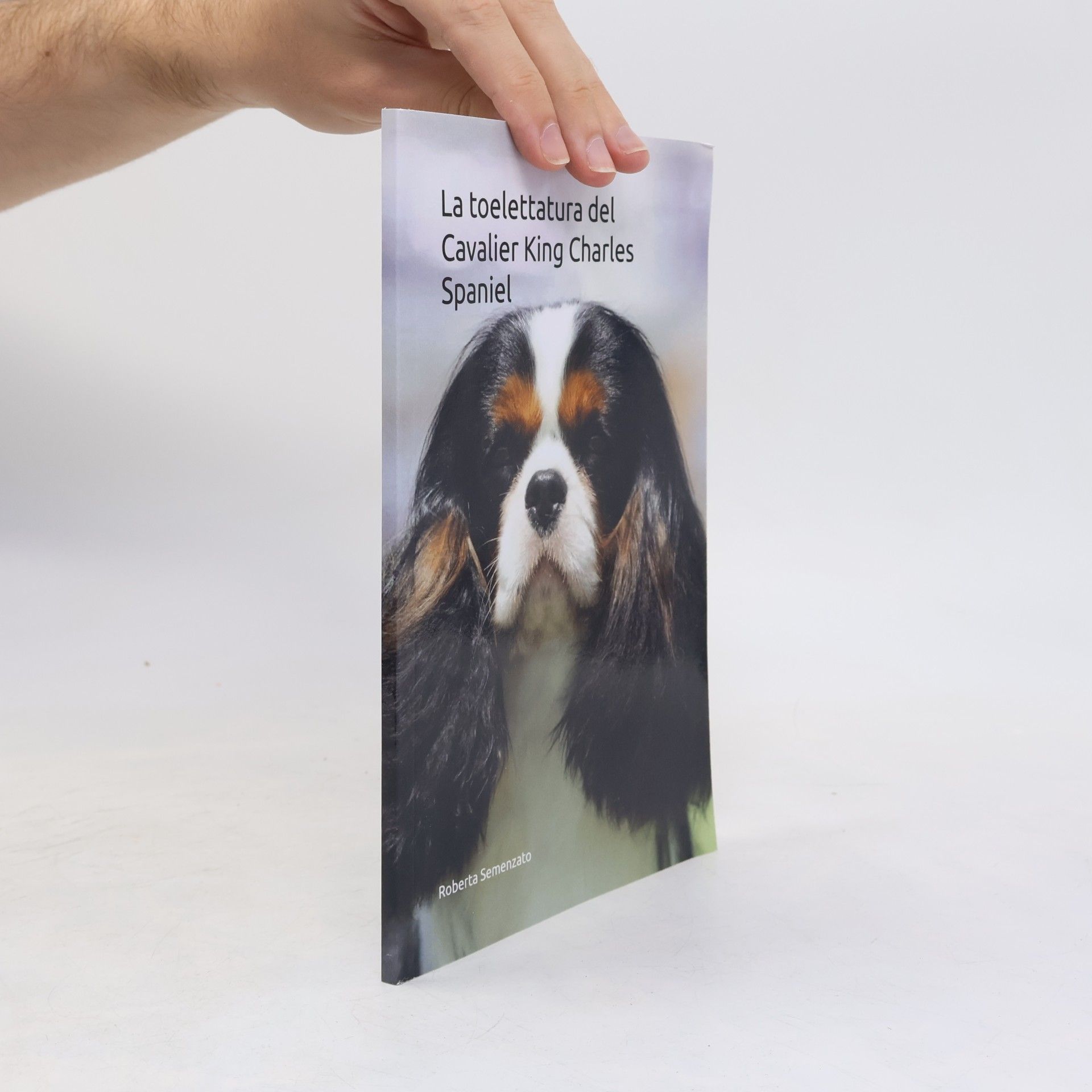 Roberta Semenzato La toelettatura del Cavalier King Charles Spaniel