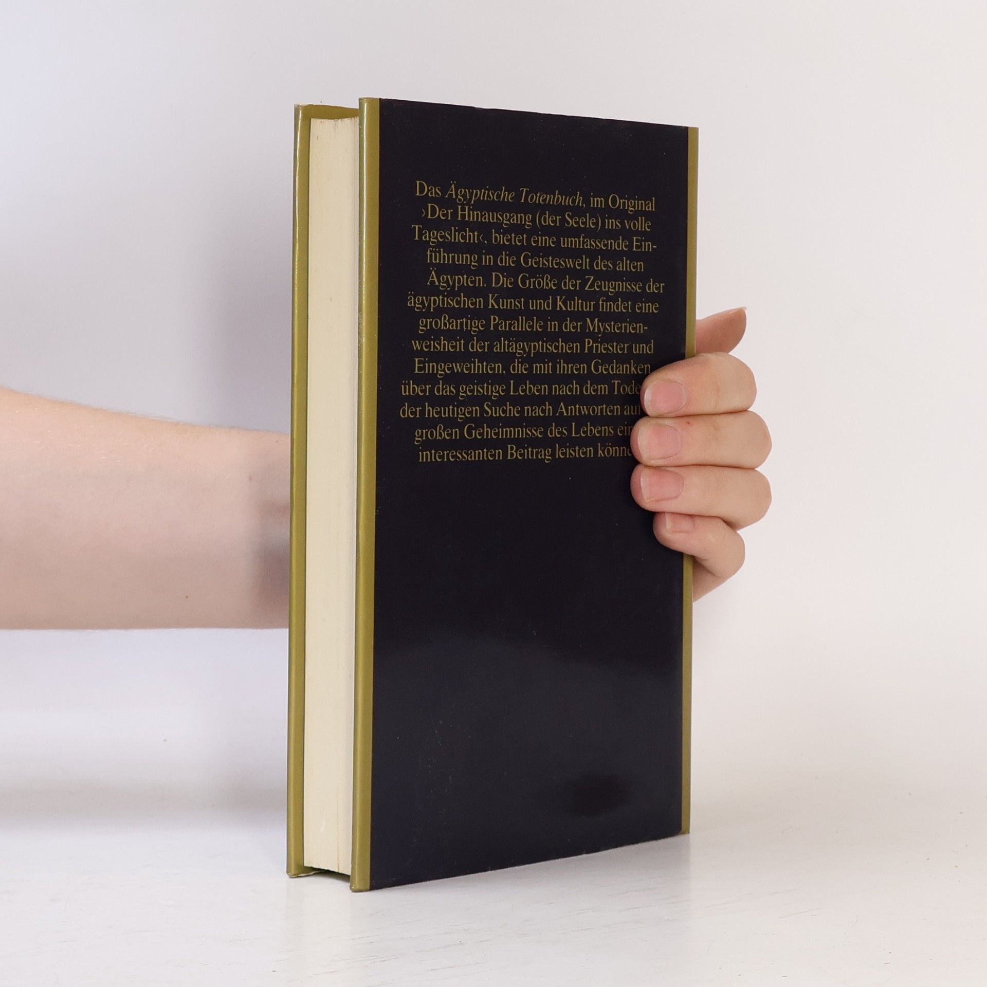 Autorenkollektiv Das ägyptische Totenbuch