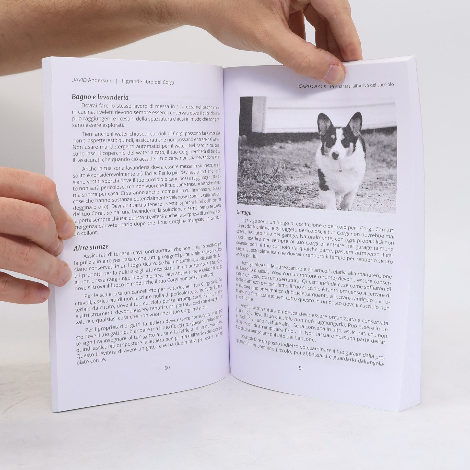 David Anderson Il grande libro del Corgi: Tutto quello che c'è da sapere sul Welsh Corgi Pembroke e sul Welsh Corgi Cardigan