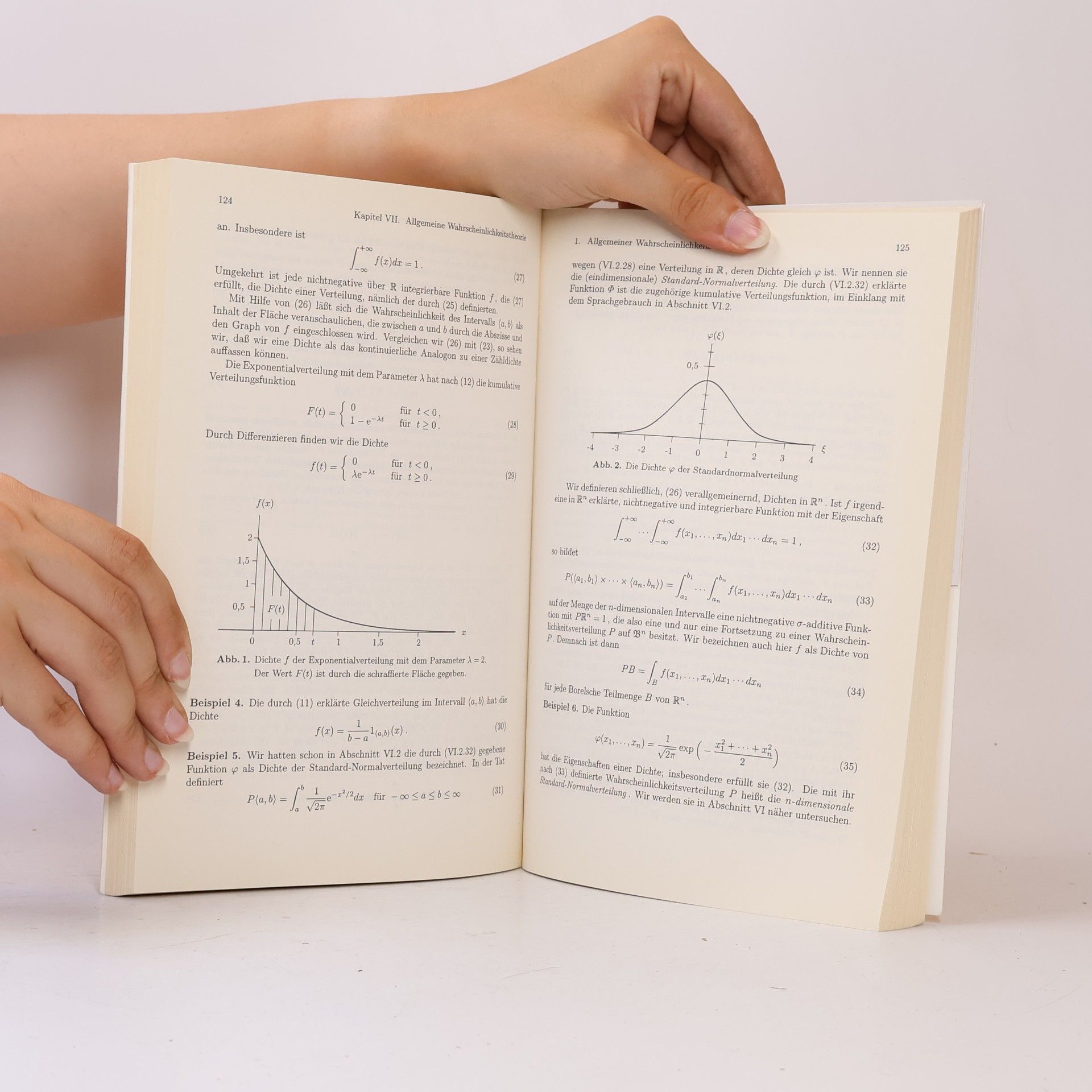 Klaus Krickeberg Springer-Lehrbuch: Stochastische Methoden - 4. Auflage