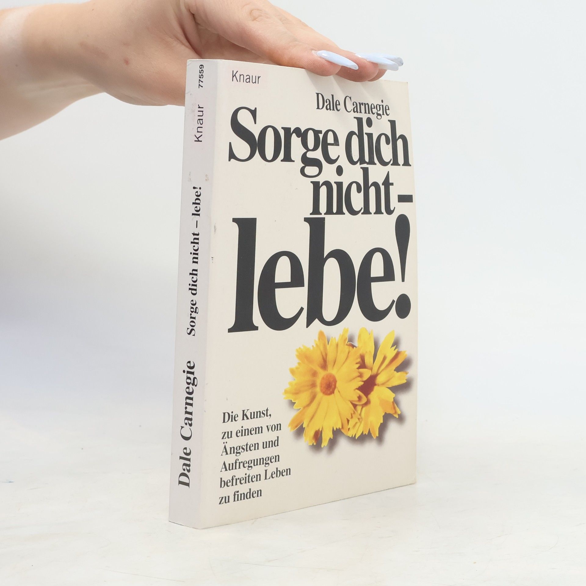 Dale Carnegie Sorge dich nicht - lebe!