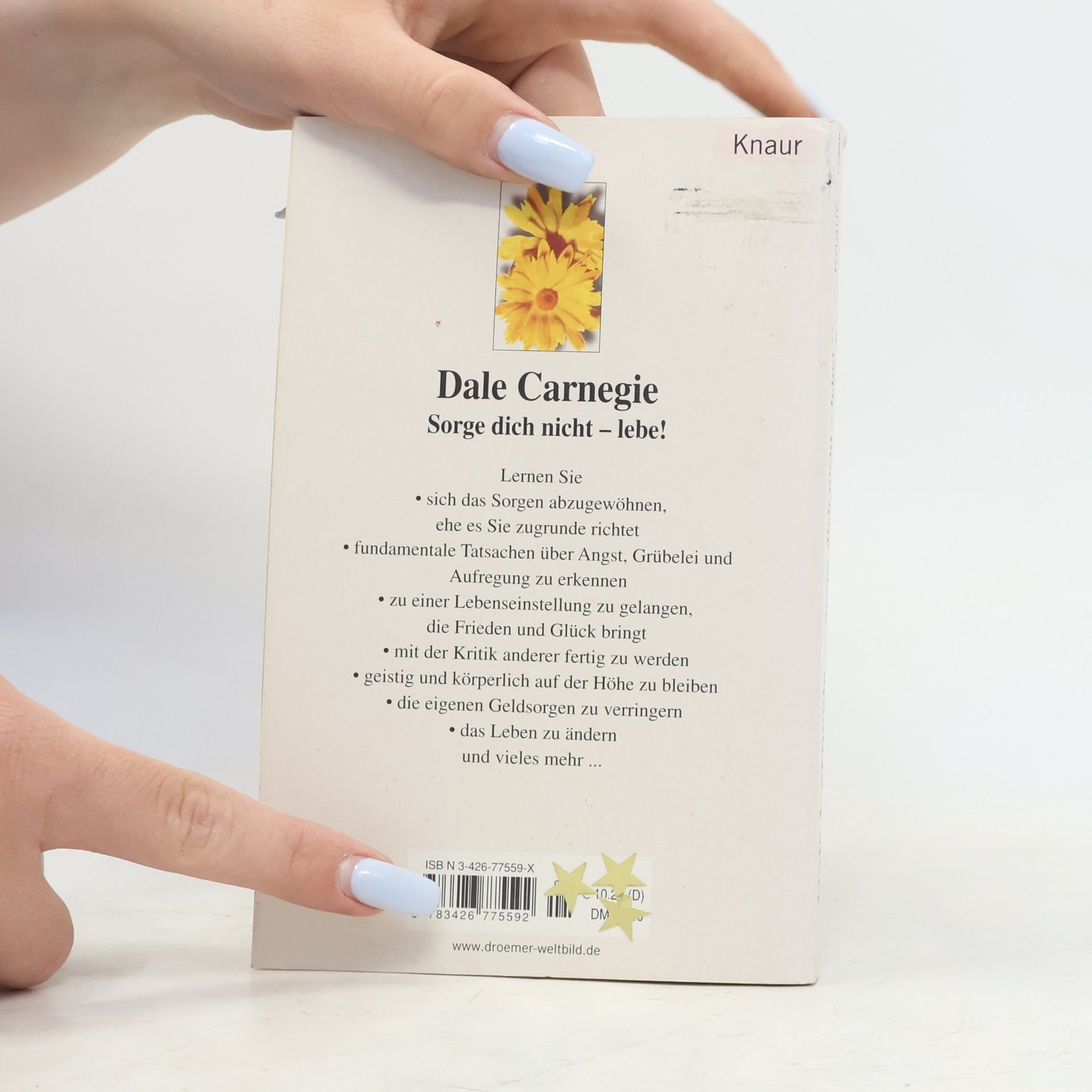 Dale Carnegie Sorge dich nicht - lebe!