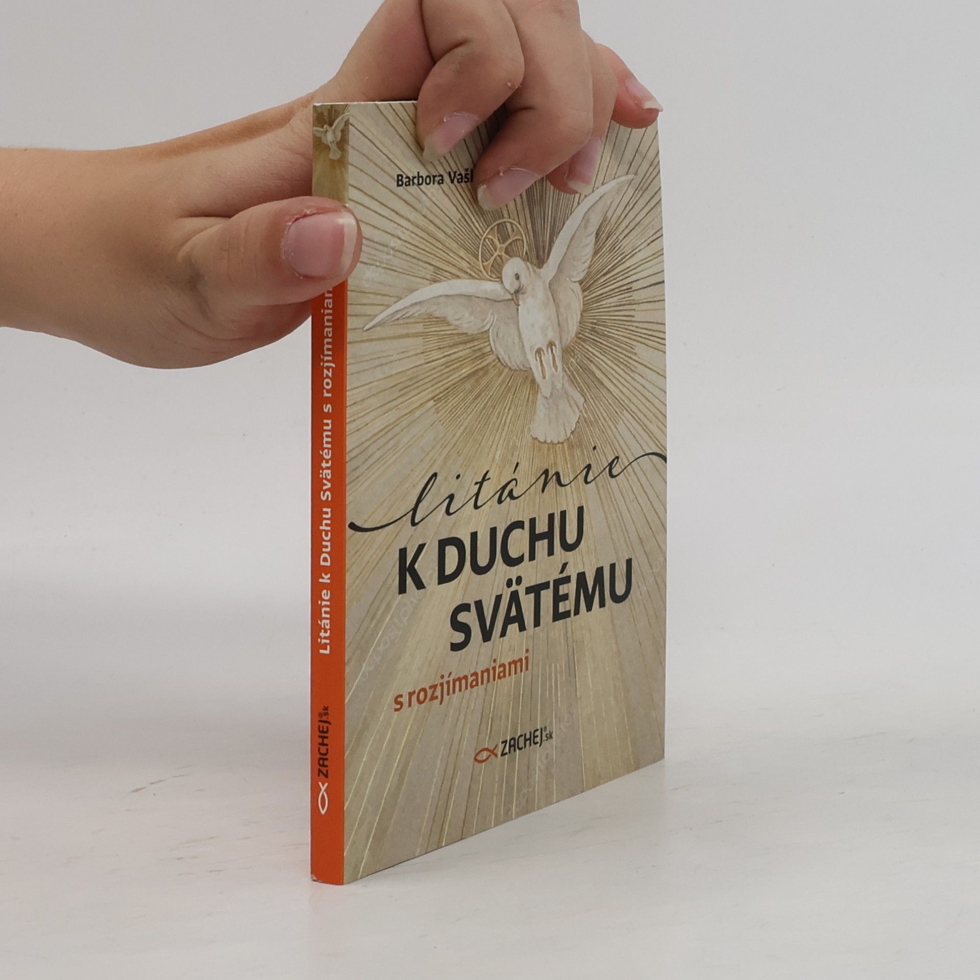 Barbora Vašková Litánie k Duchu Svätému s rozjímaniami