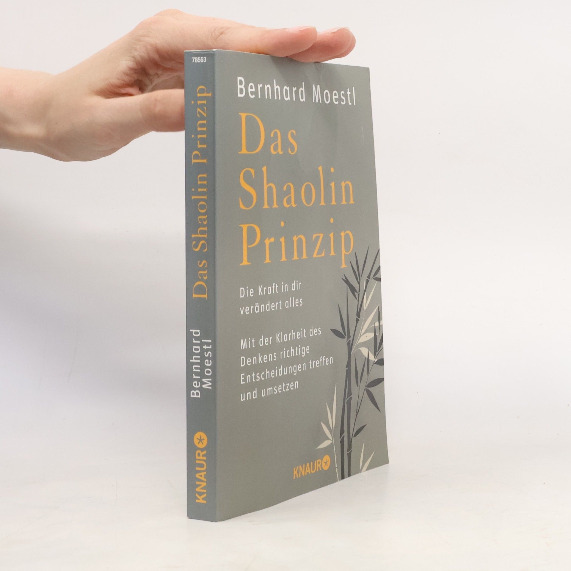 Bernhard Moestl Das Shaolin-Prinzip