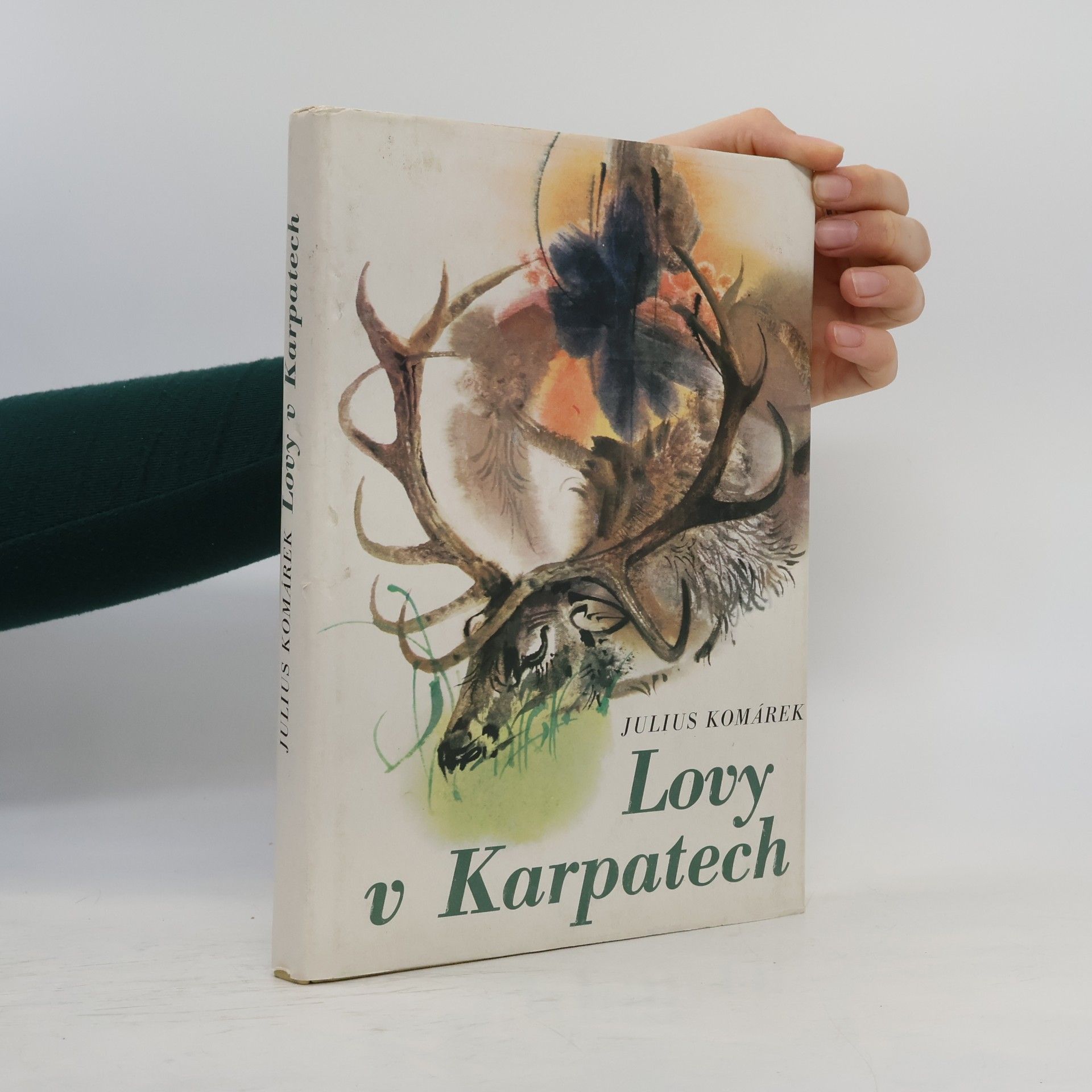 Julius Komárek Lovy v Karpatech
