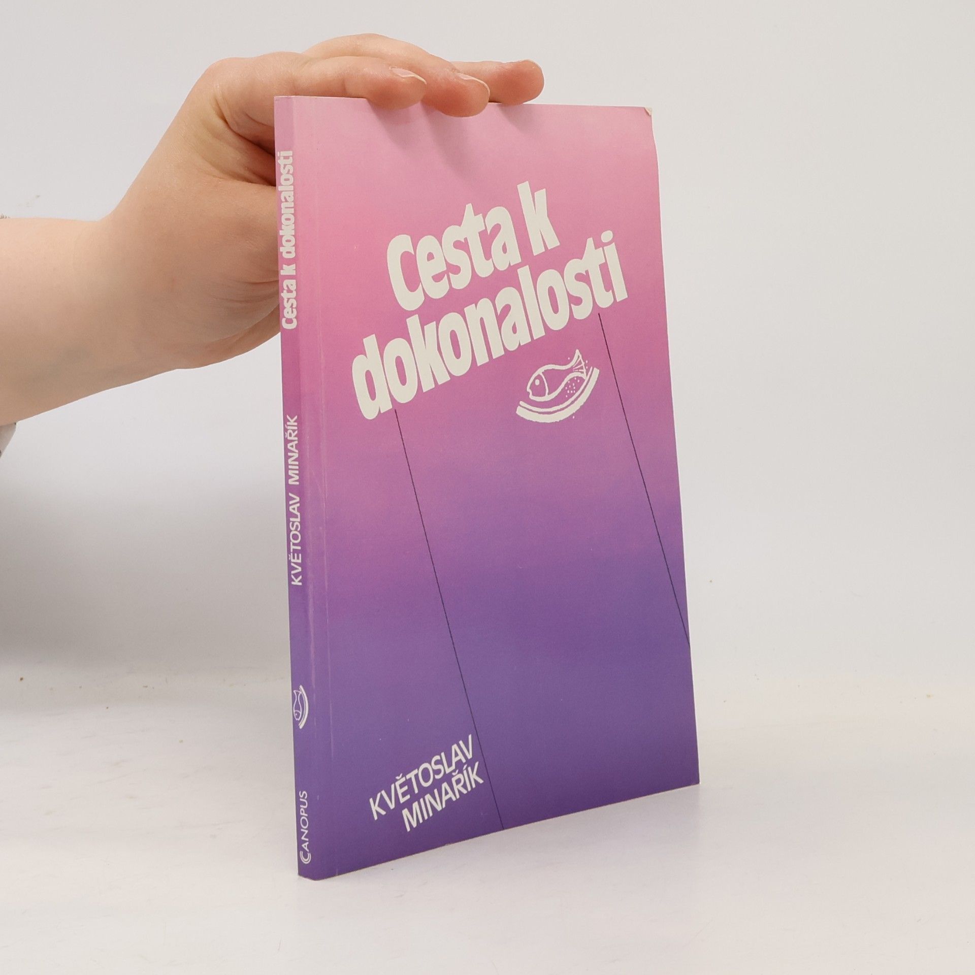 Květoslav Minařík Cesta k dokonalosti