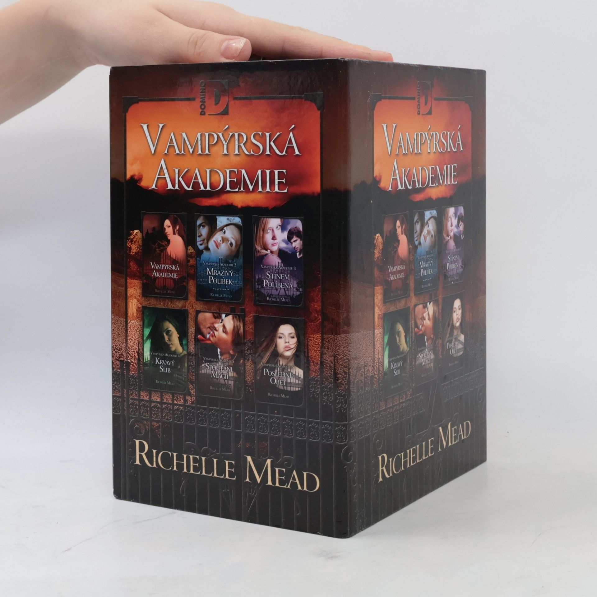 Richelle Mead Vampýrská akademie 1-6