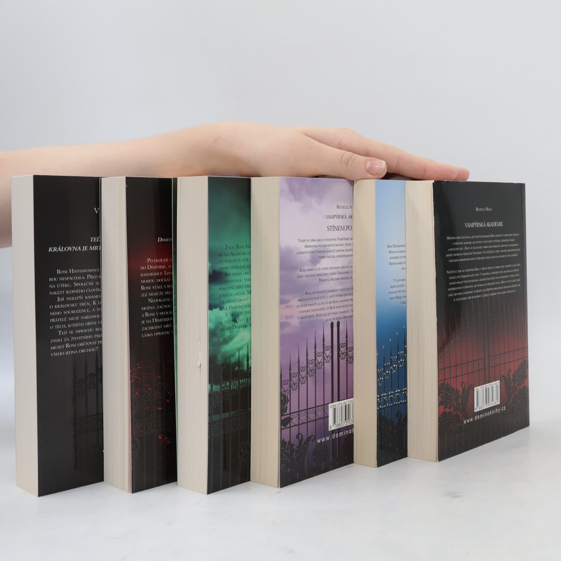 Richelle Mead Vampýrská akademie 1-6