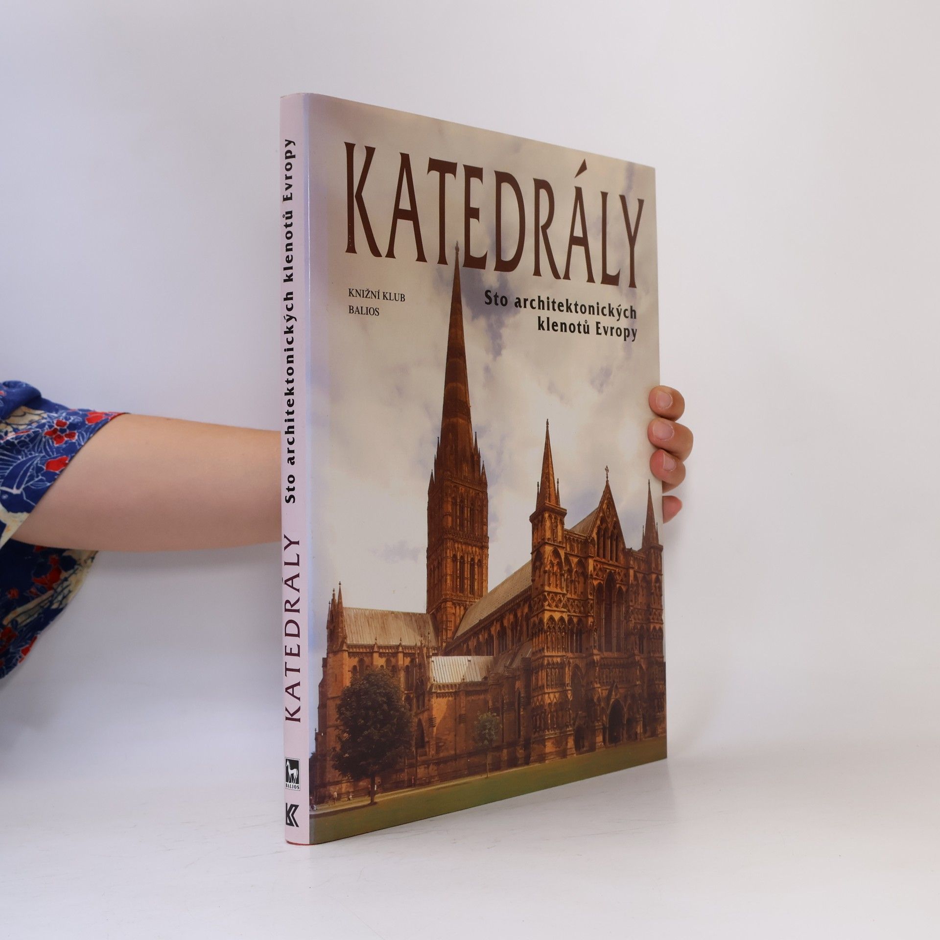 Collectif d'auteurs Katedrály : sto architektonických klenotů Evropy