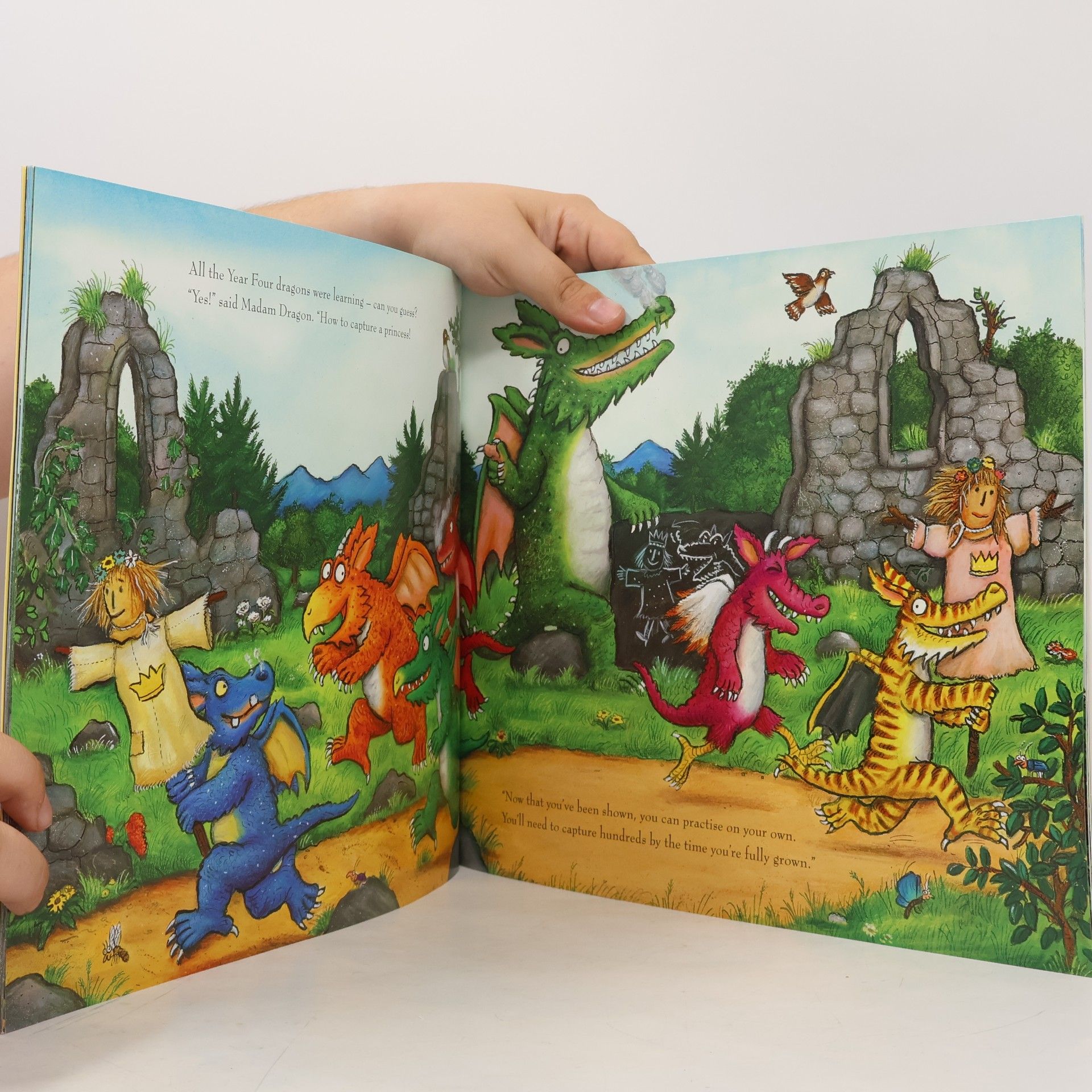Axel Scheffler Zog