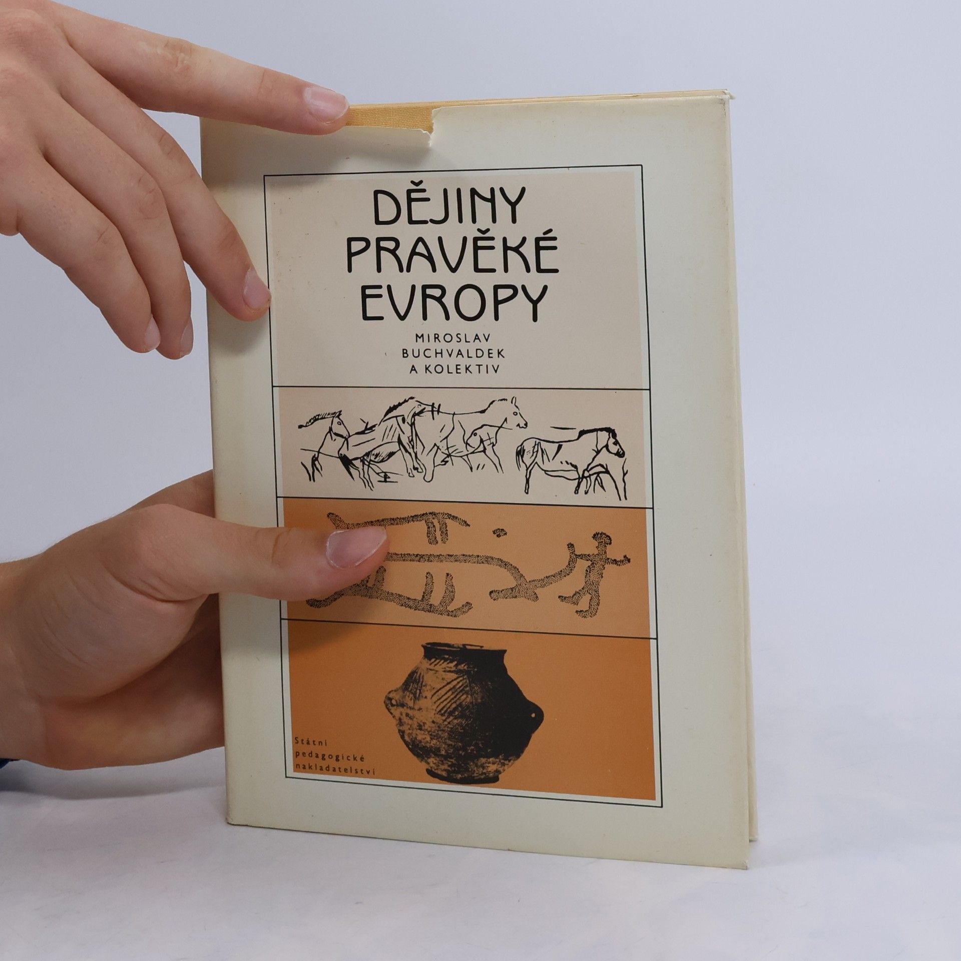 Miroslav Buchvaldek Dějiny pravěké Evropy