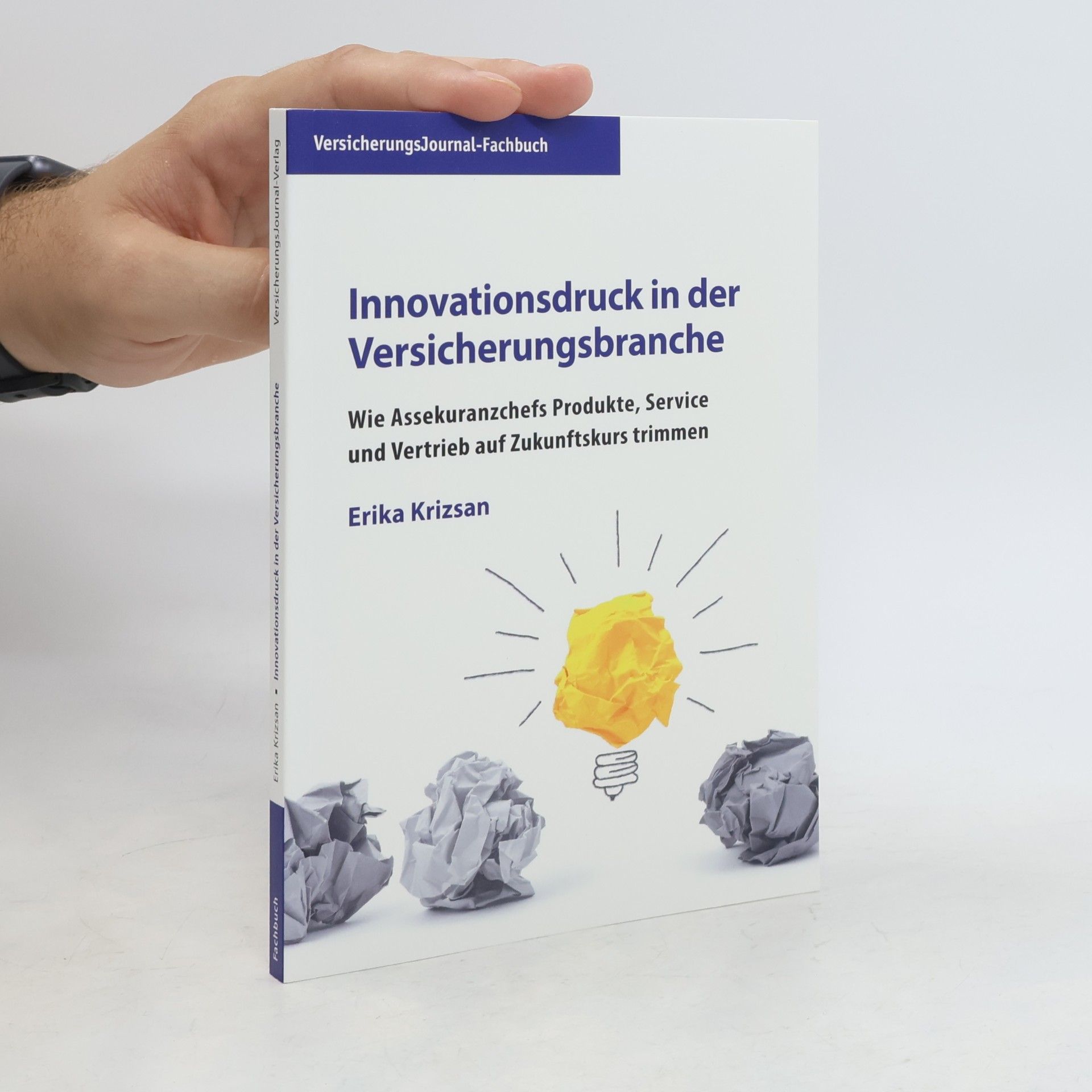 Erika Krizsan Innovationsdruck in der Versicherungsbranche