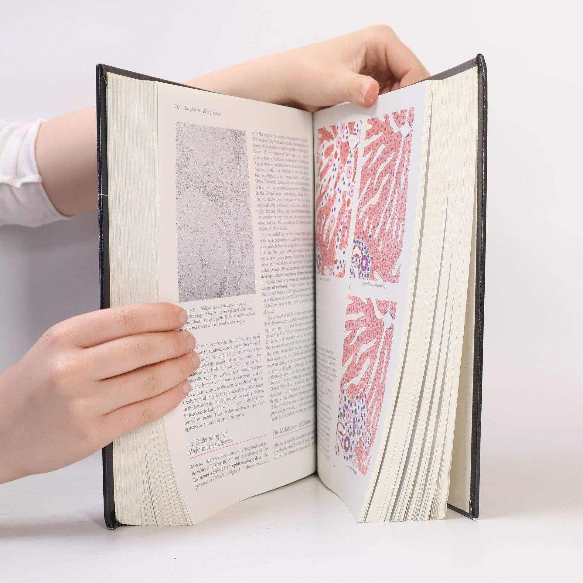 John L. Farber Pathology