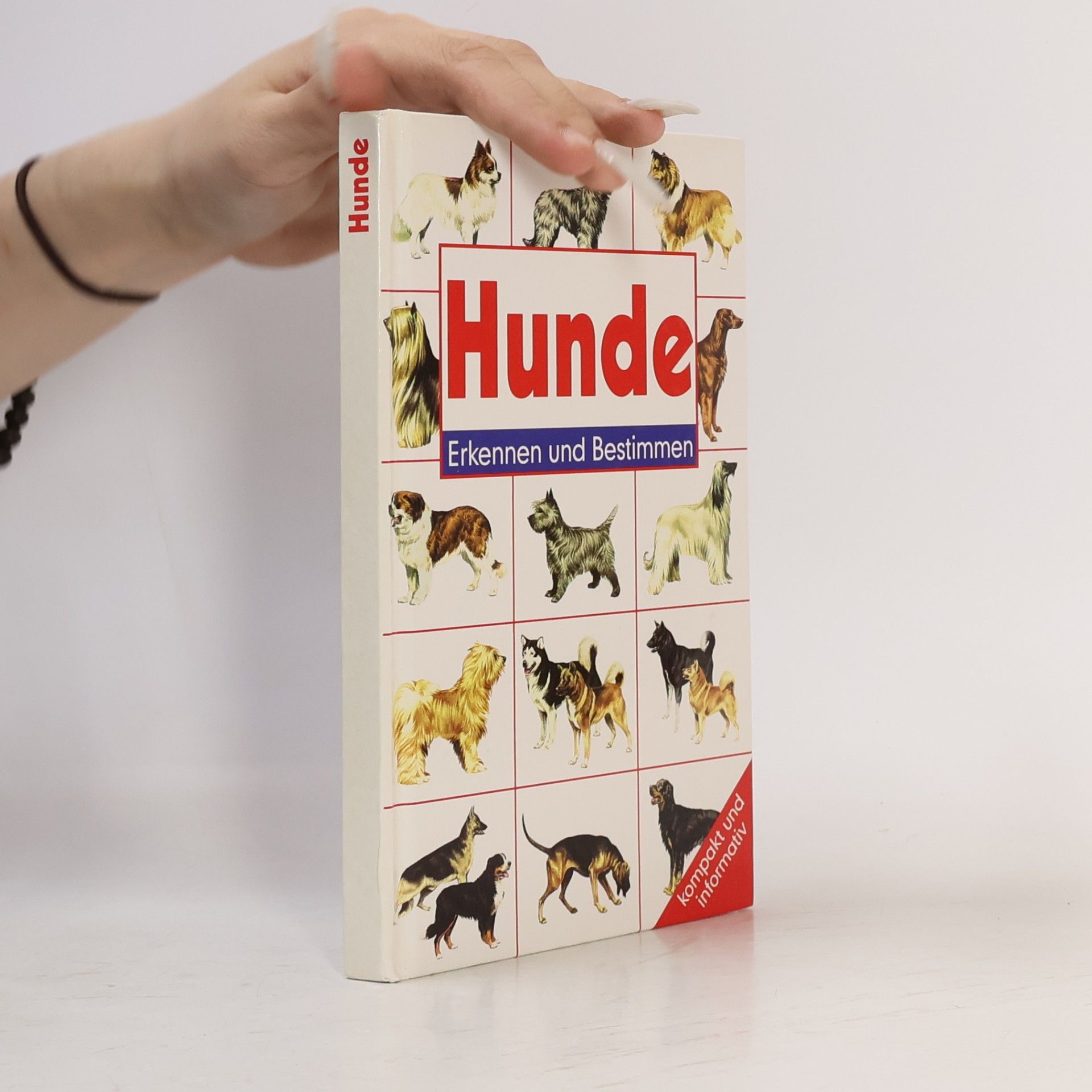 Wendy Boorer Hunde