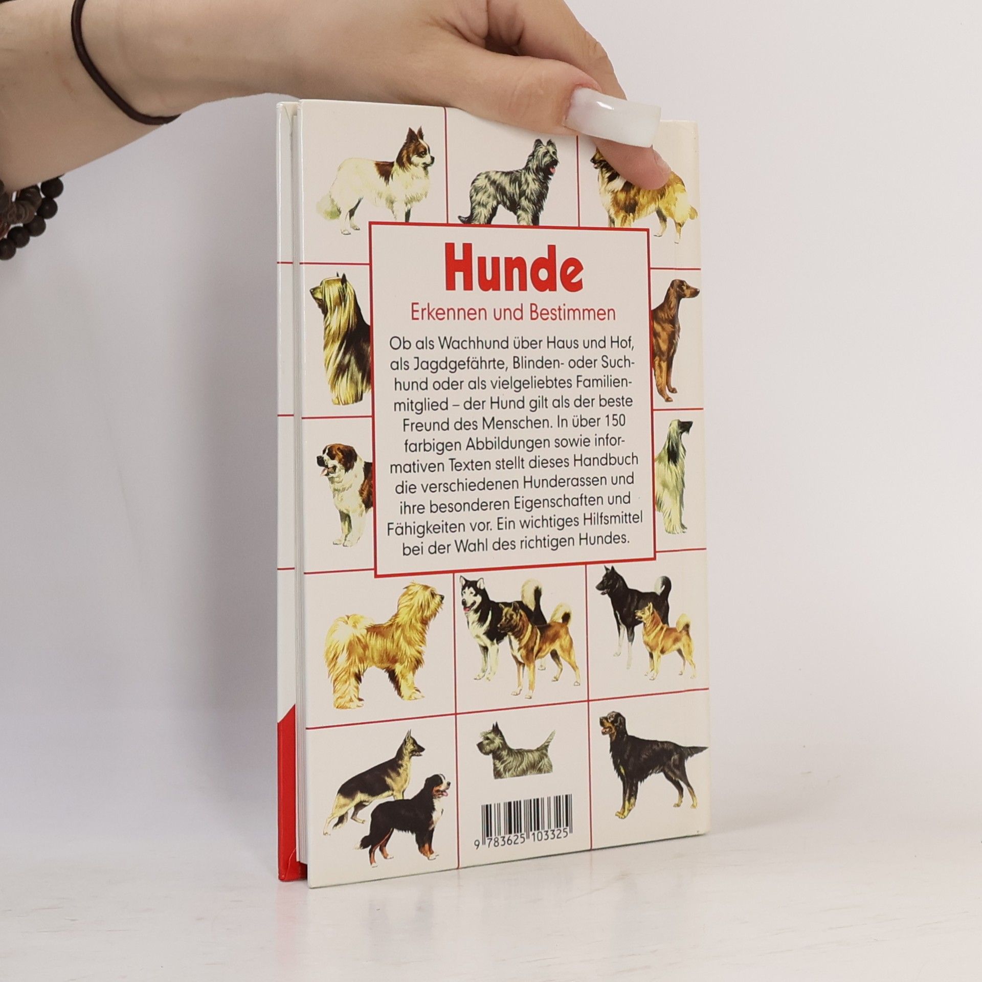 Wendy Boorer Hunde
