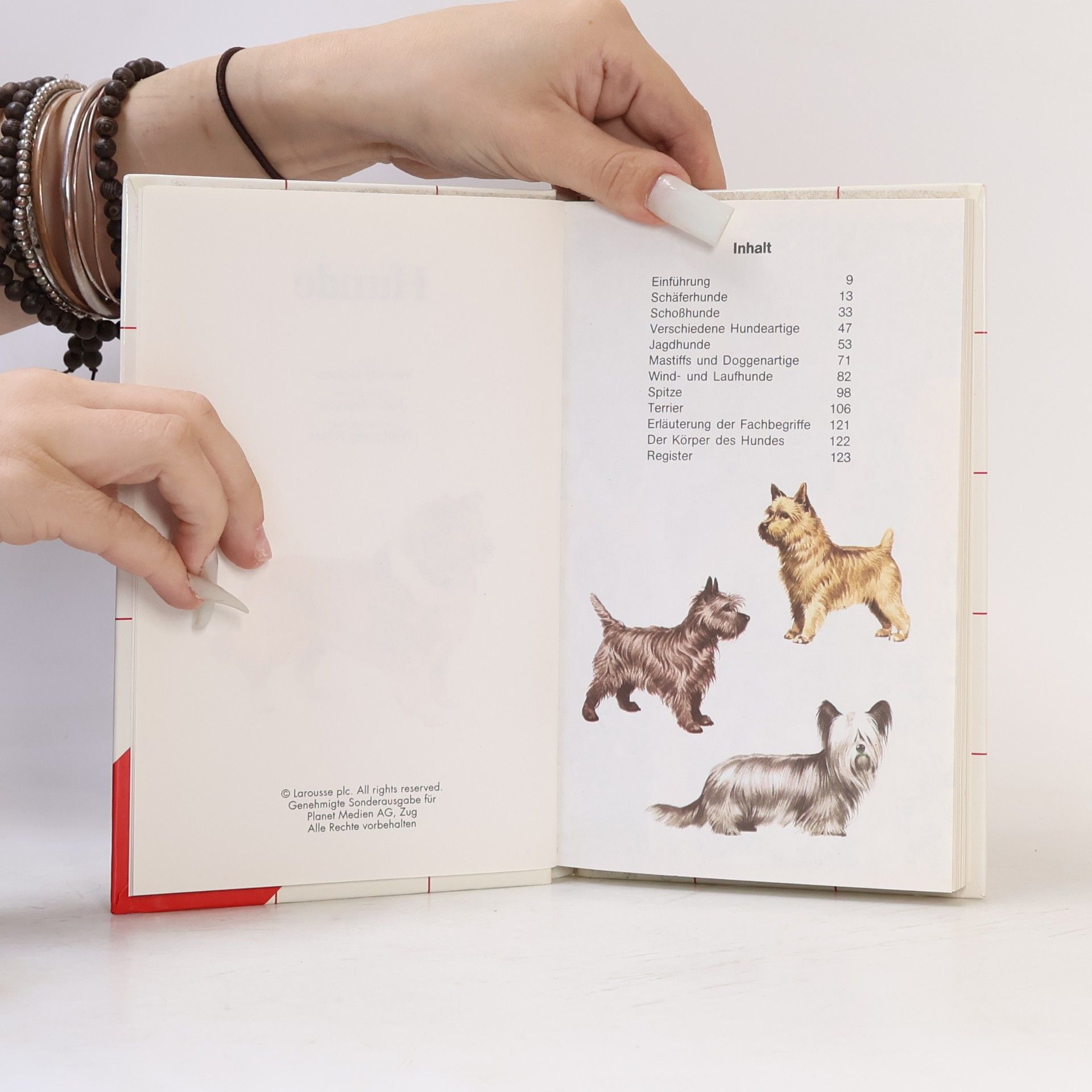 Wendy Boorer Hunde