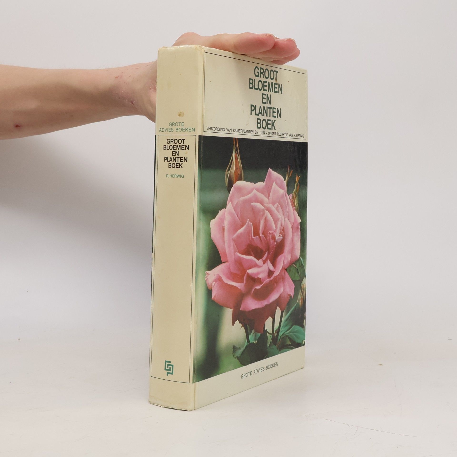 Autorenkollektiv Groot bloemen en planten boek