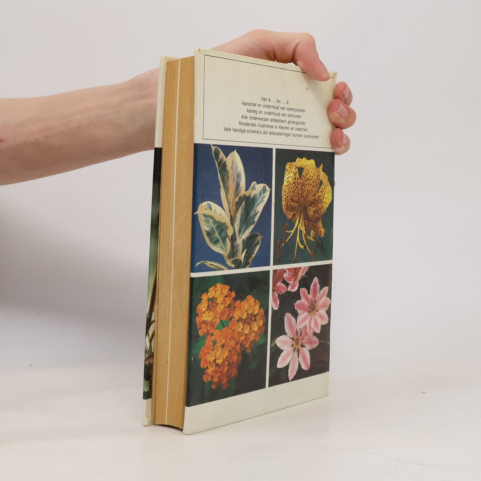 Autorenkollektiv Groot bloemen en planten boek