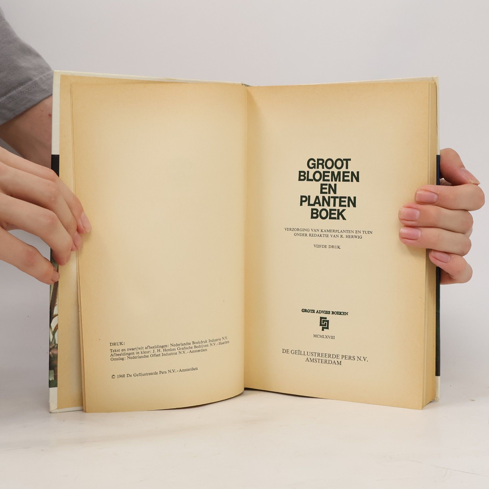 Autorenkollektiv Groot bloemen en planten boek