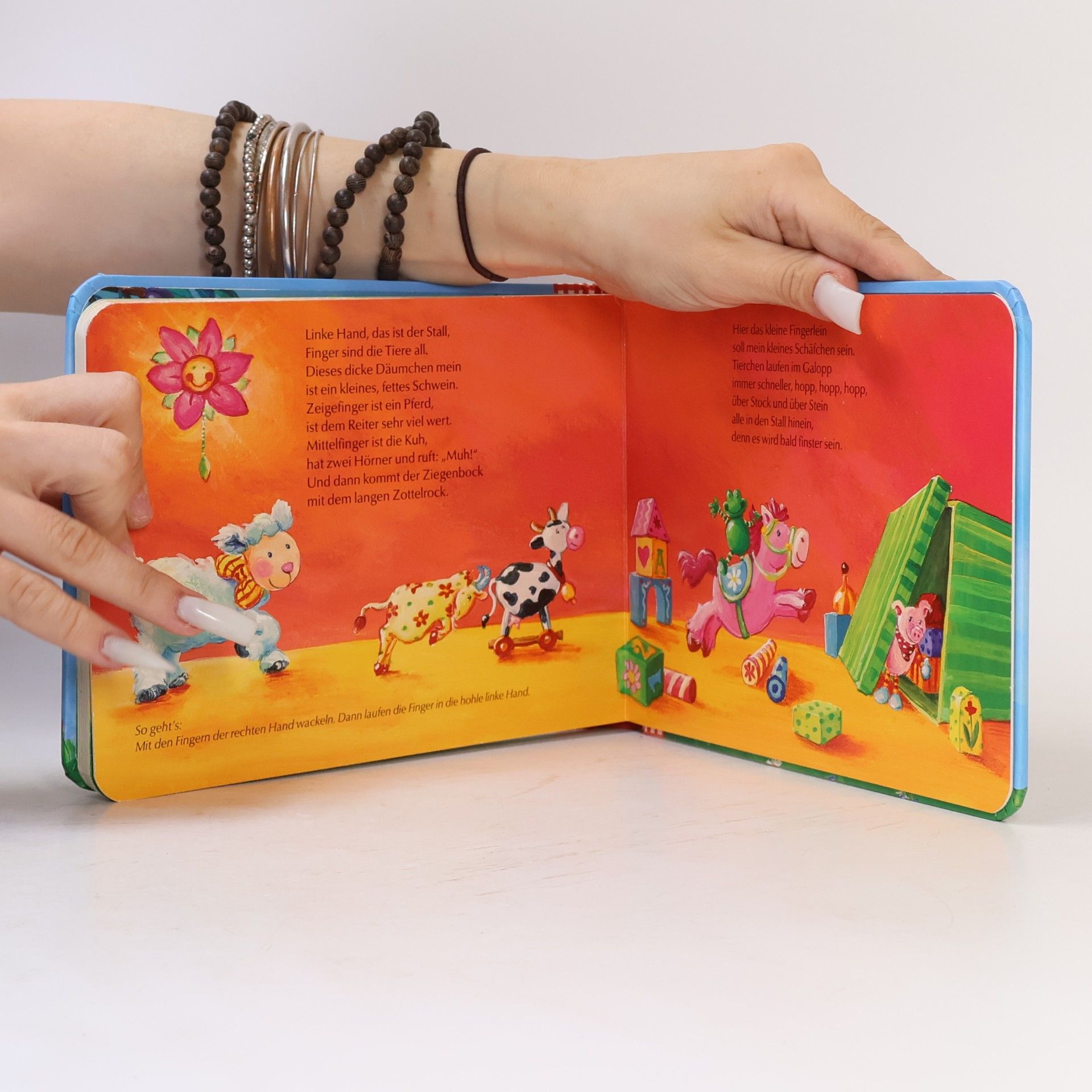 Autores varios Alle meine Zappelmänner