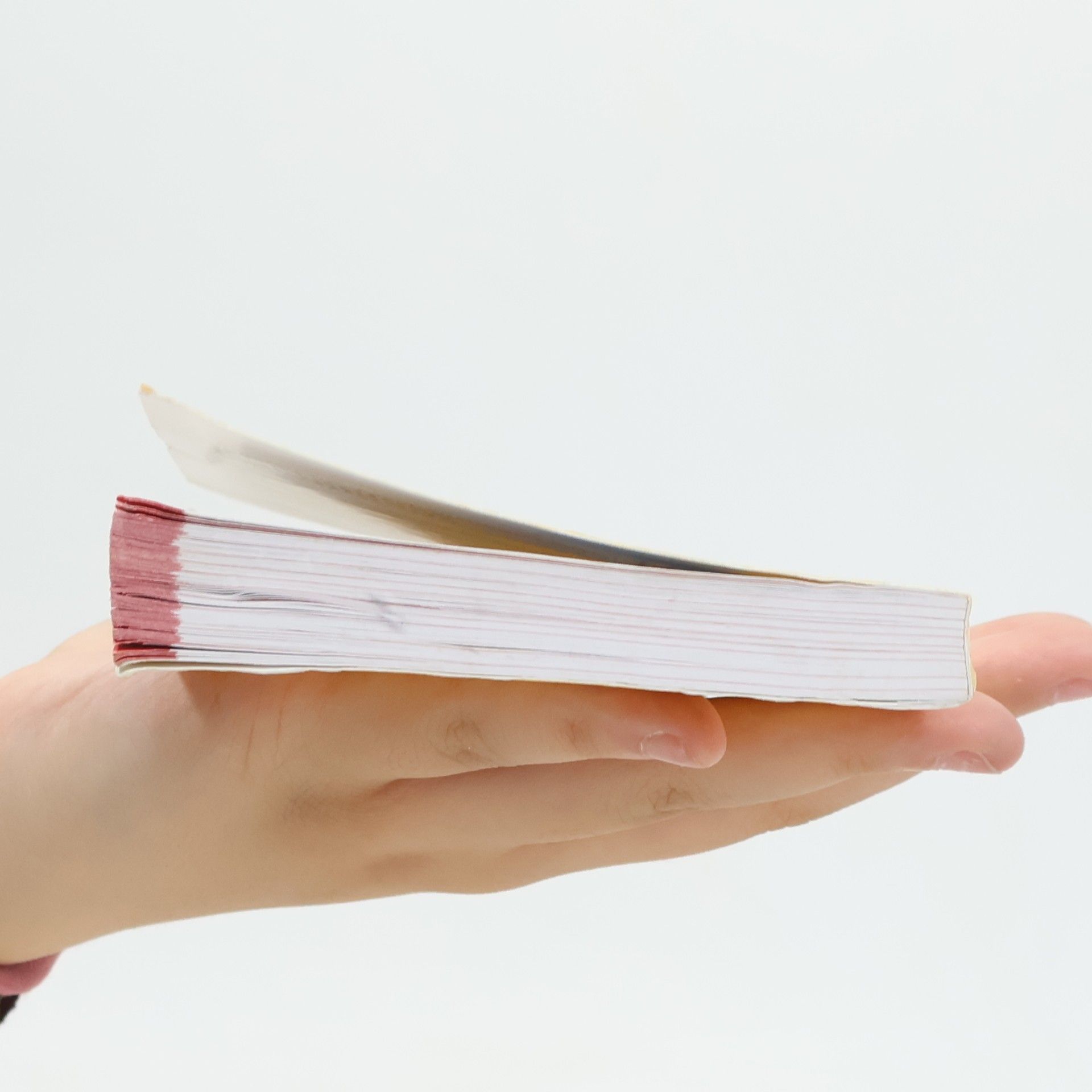 Barbara Seidl NLP Mentale Ressourcen nutzen