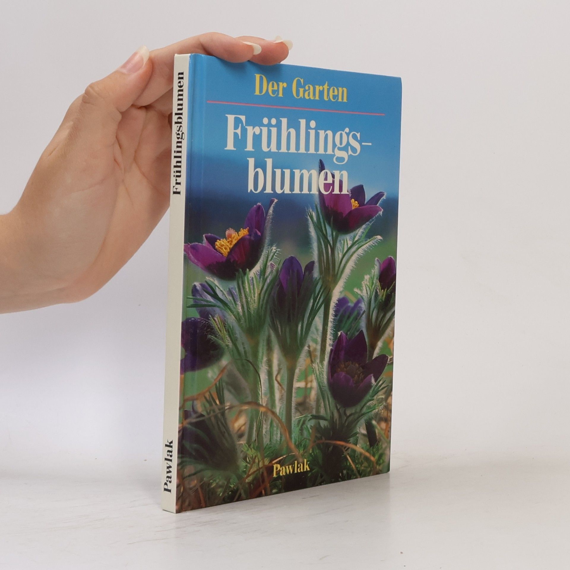 Ute York Frühlingsblumen