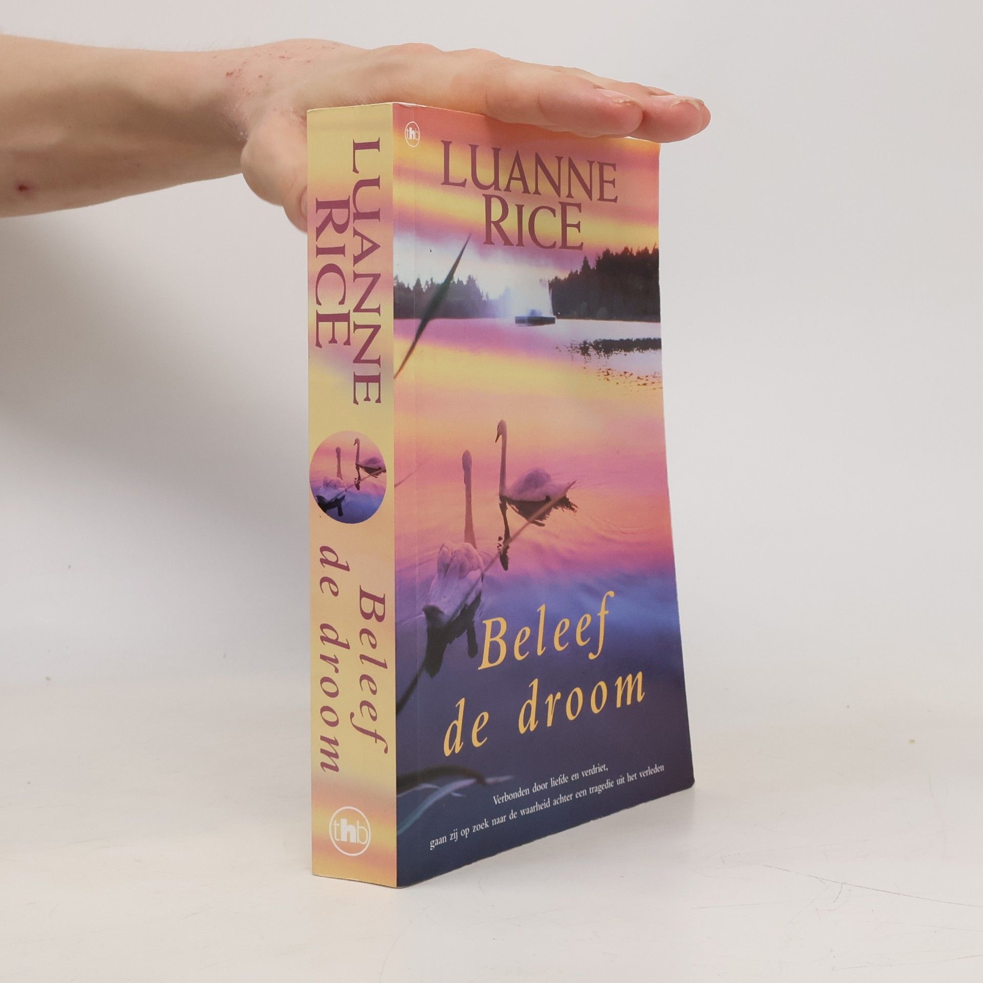 Luanne Rice Beleef de droom