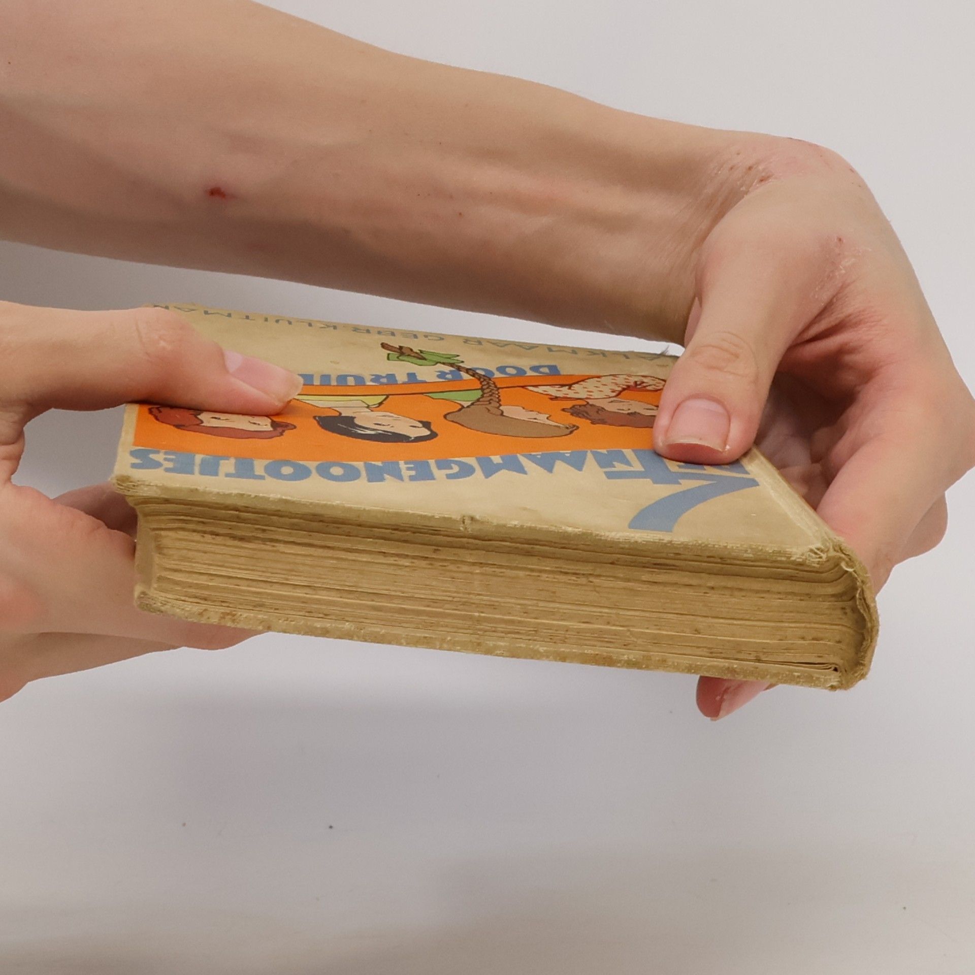 Kolektiv autorů De 4 Naamgenootjes