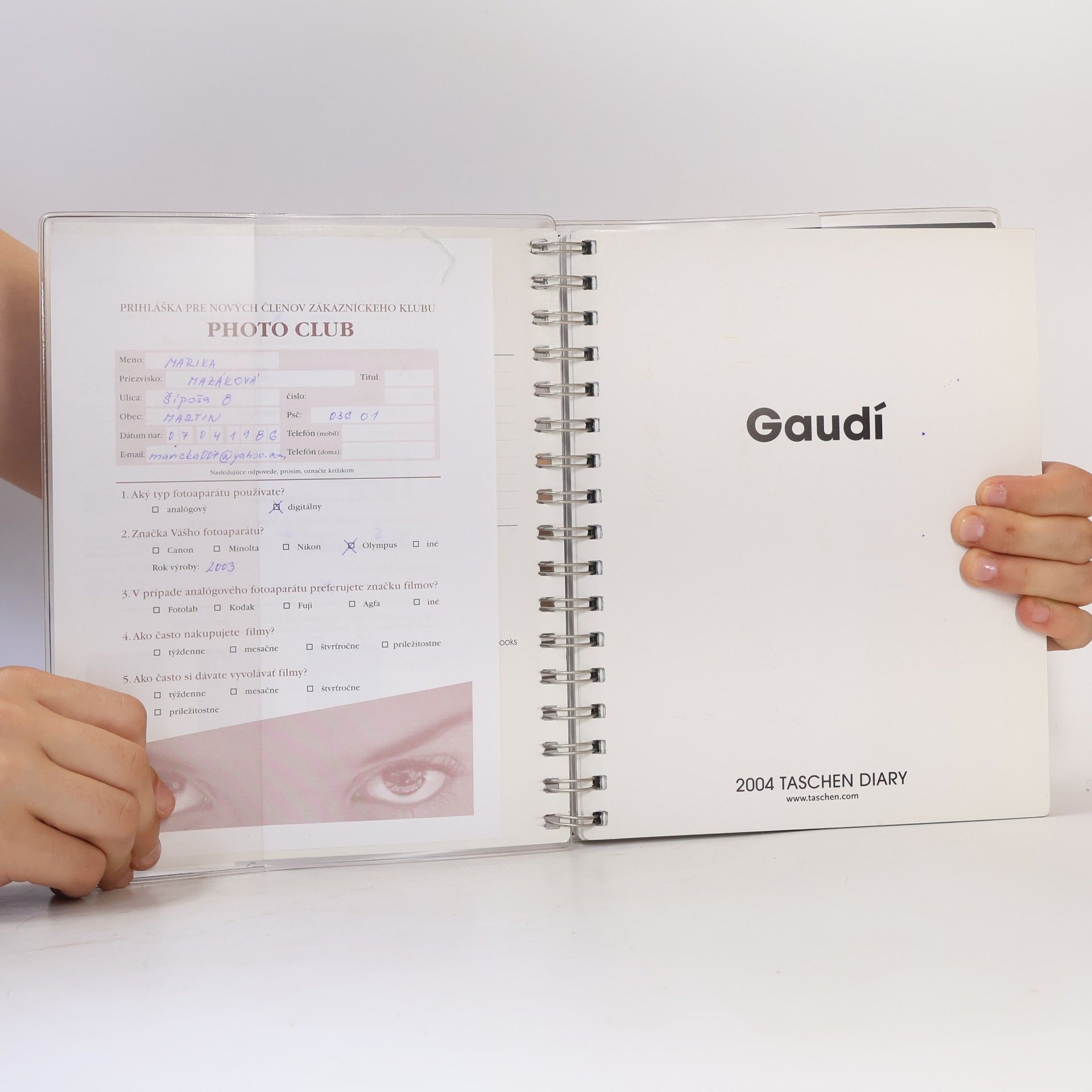 The Gaudi Diary 2004