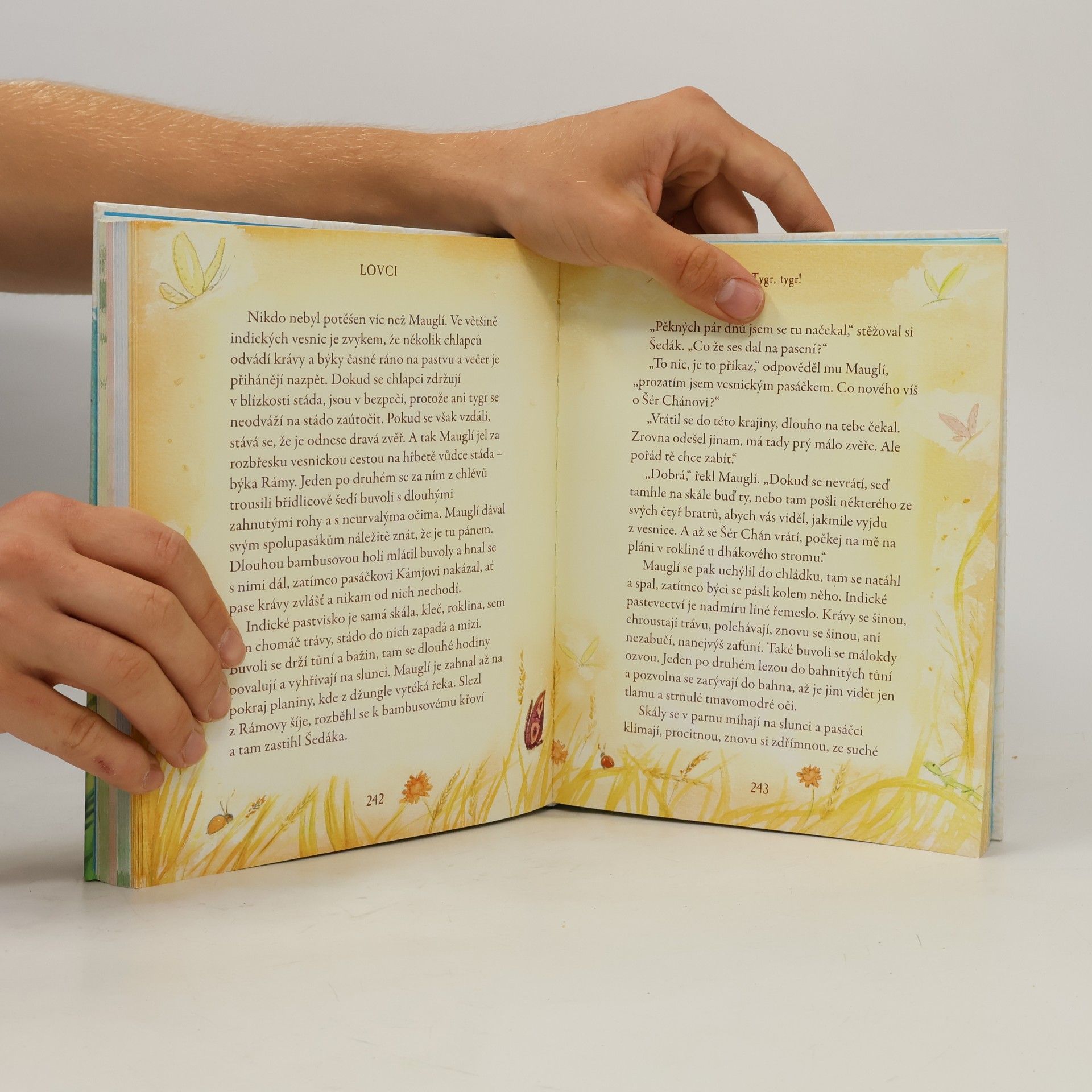 Autorenkollektiv Příběhy zvířátek - Pokladnice klasických příběhů