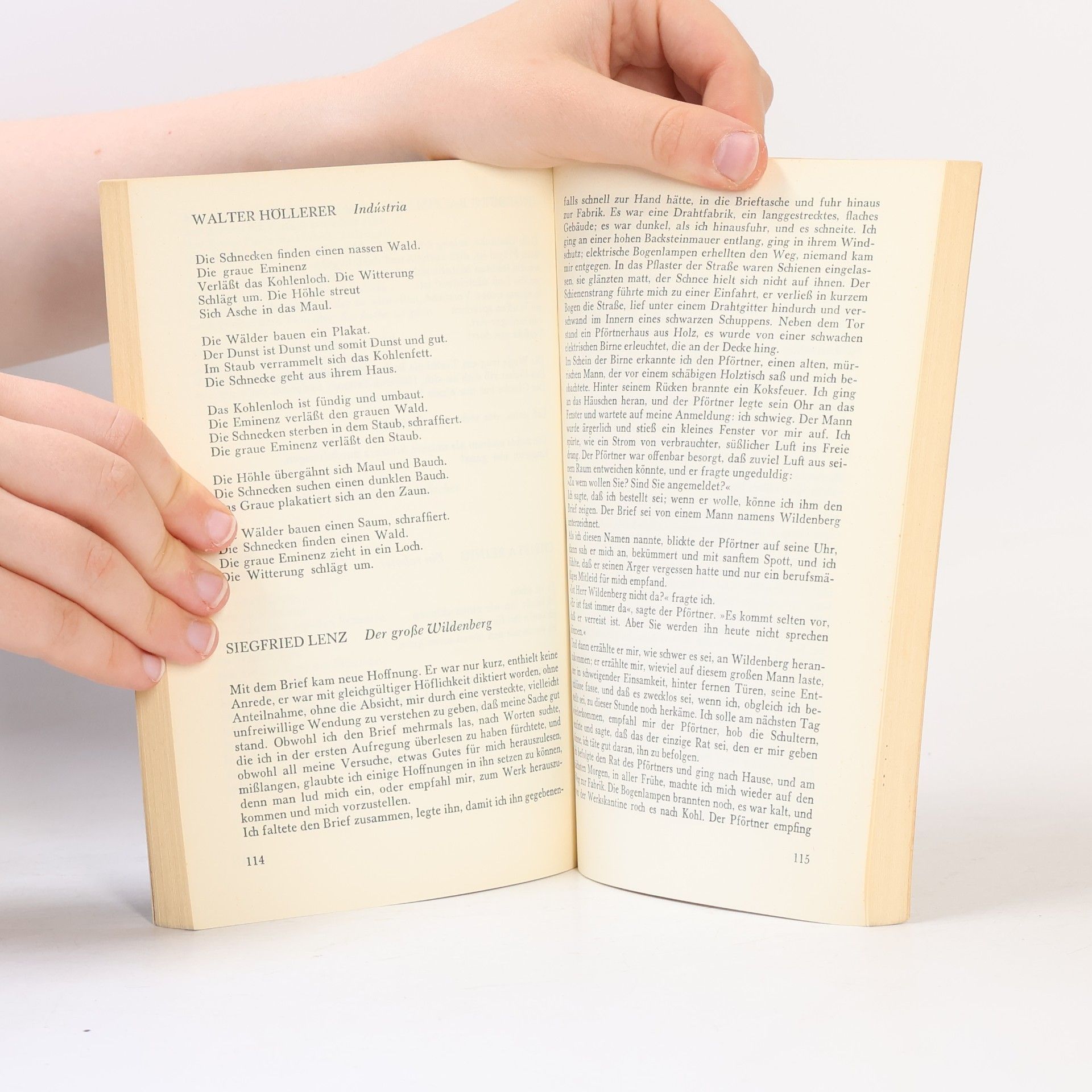 Klaus Wagenbach Lesebuch. Deutsche Literatur der sechziger Jahre