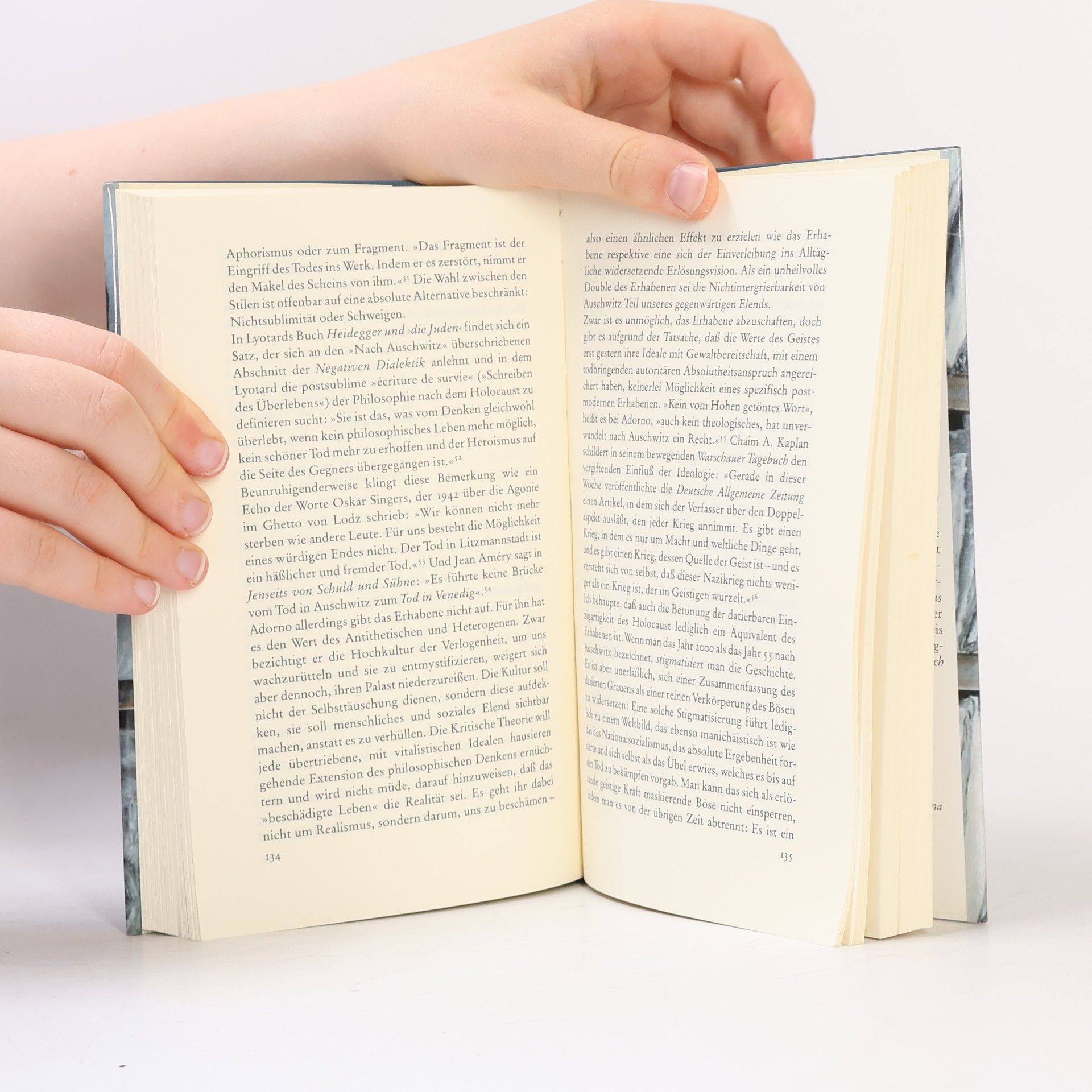 Geoffrey Hartman Das beredte Schweigen der Literatur