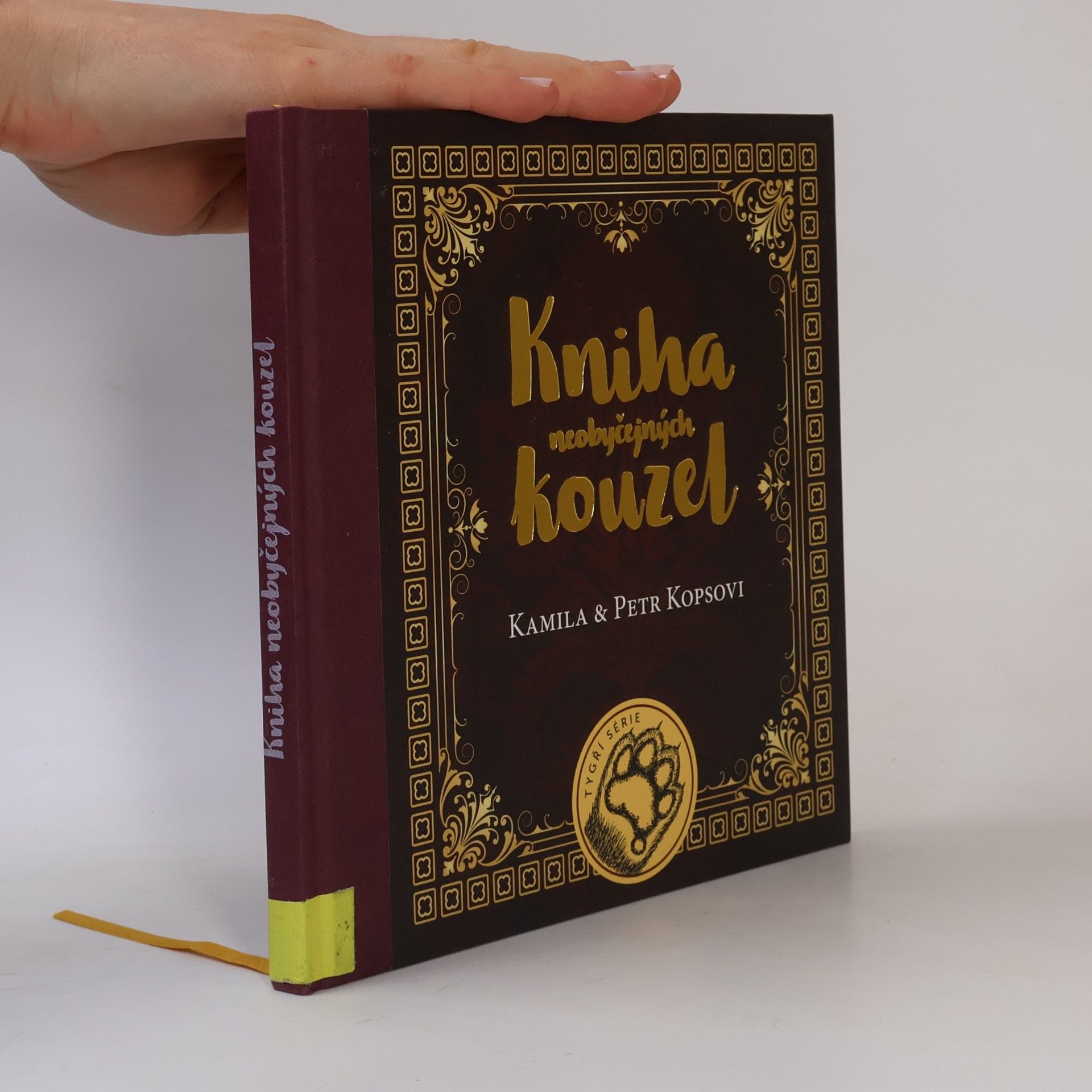 Kamila Kopsová Kniha neobyčejných kouzel