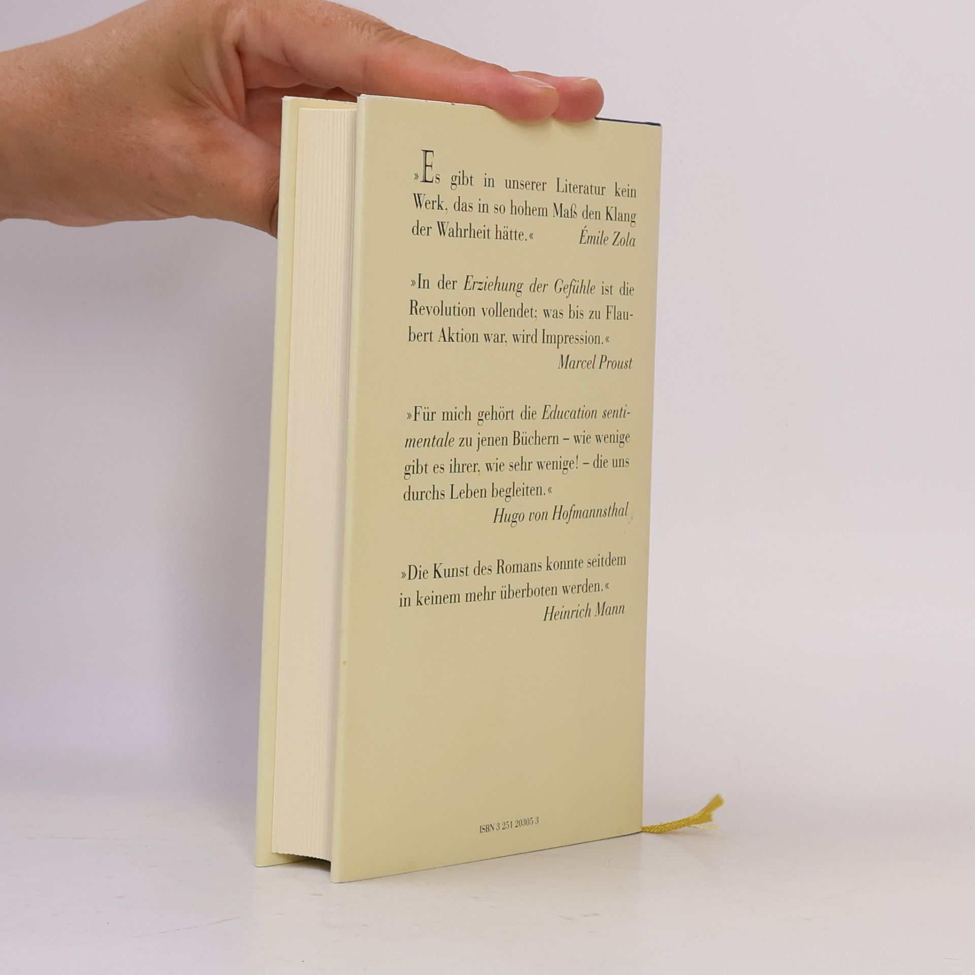 Gustave Flaubert Die Erziehung der Gefühle