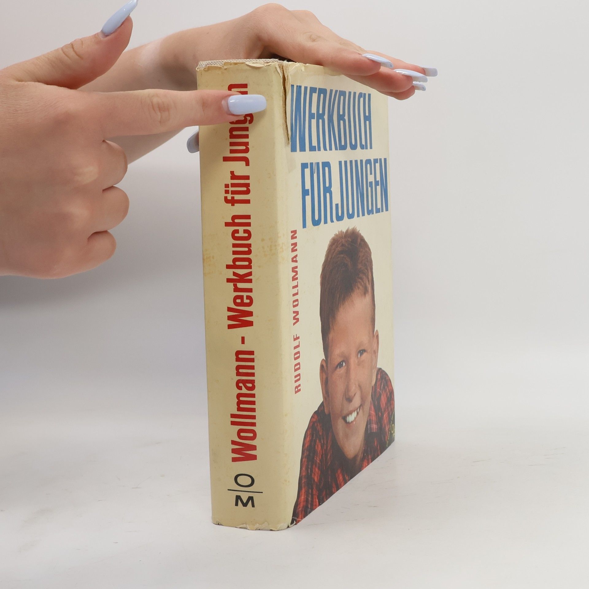 Rudolf Wollmann Werkbuch für Jungen