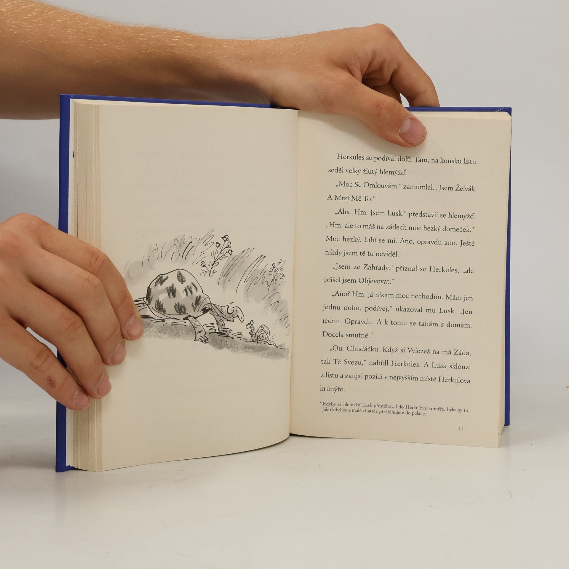 Terry Pratchett Draci na hradě Ruinově