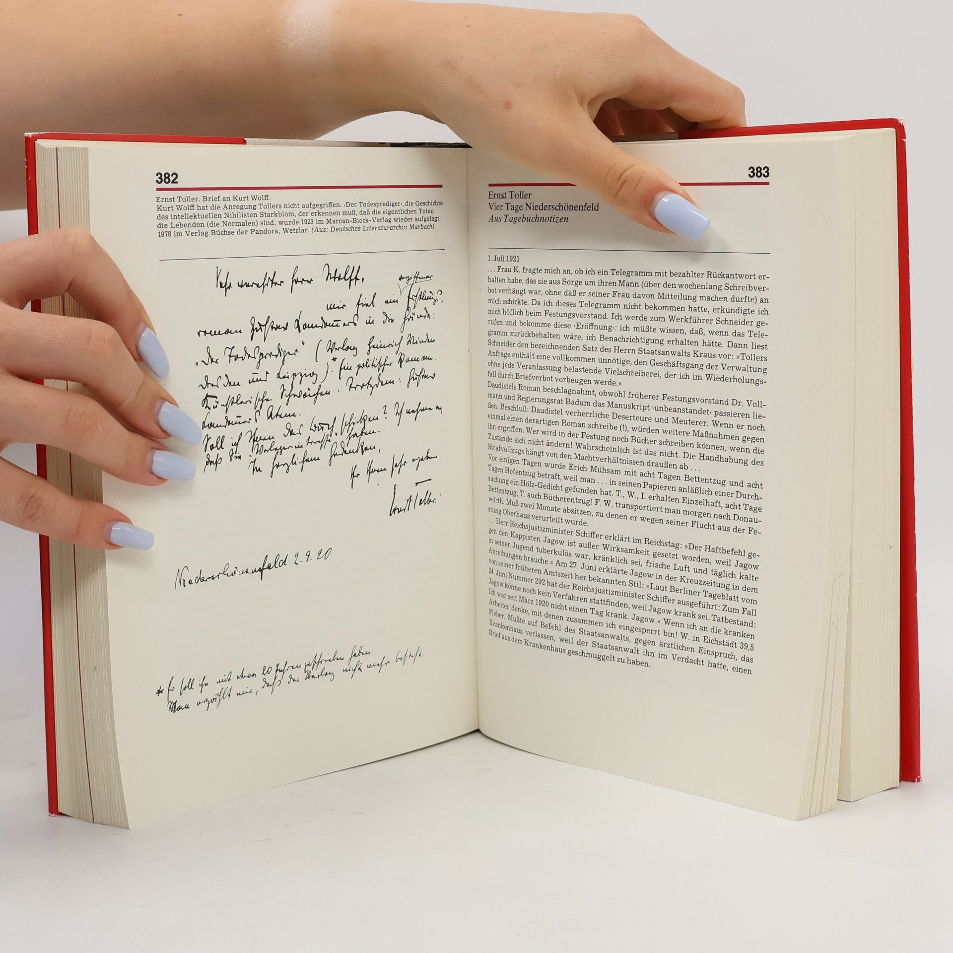 Hansjörg Viesel Literaten an der Wand