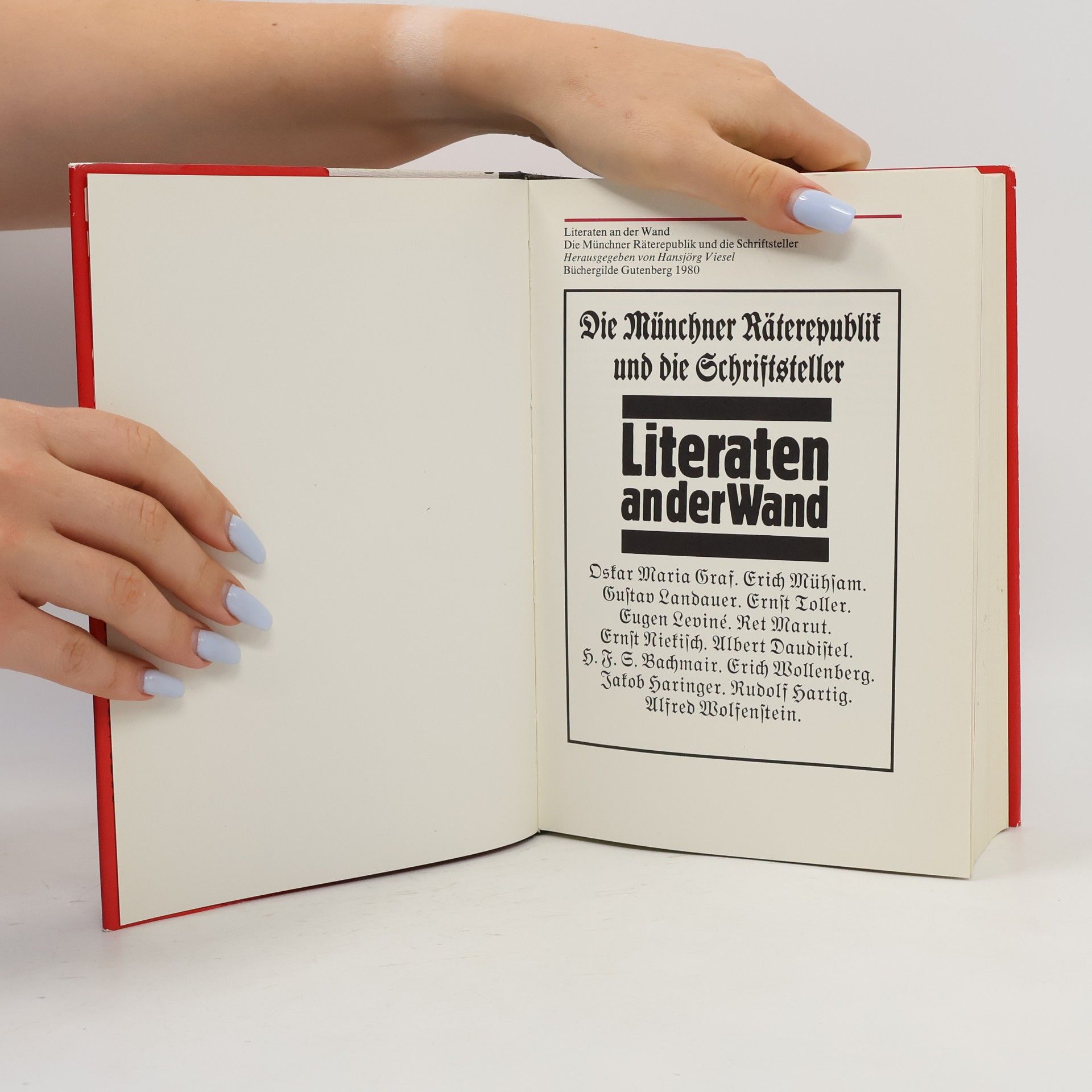 Hansjörg Viesel Literaten an der Wand