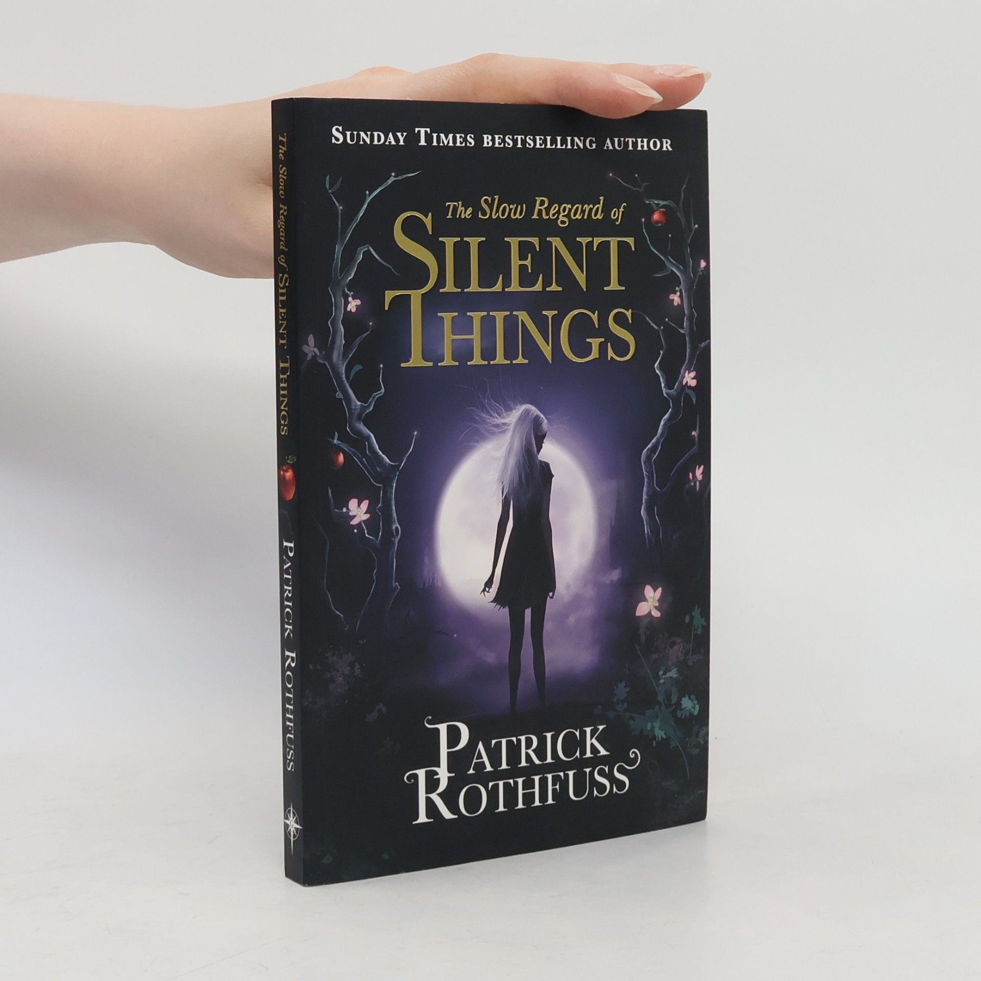 Patrick Rothfuss The Slow Regard of Silent Things