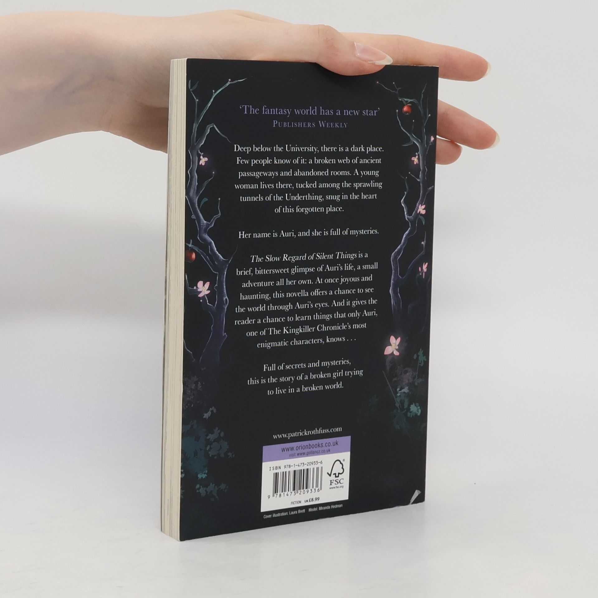 Patrick Rothfuss The Slow Regard of Silent Things