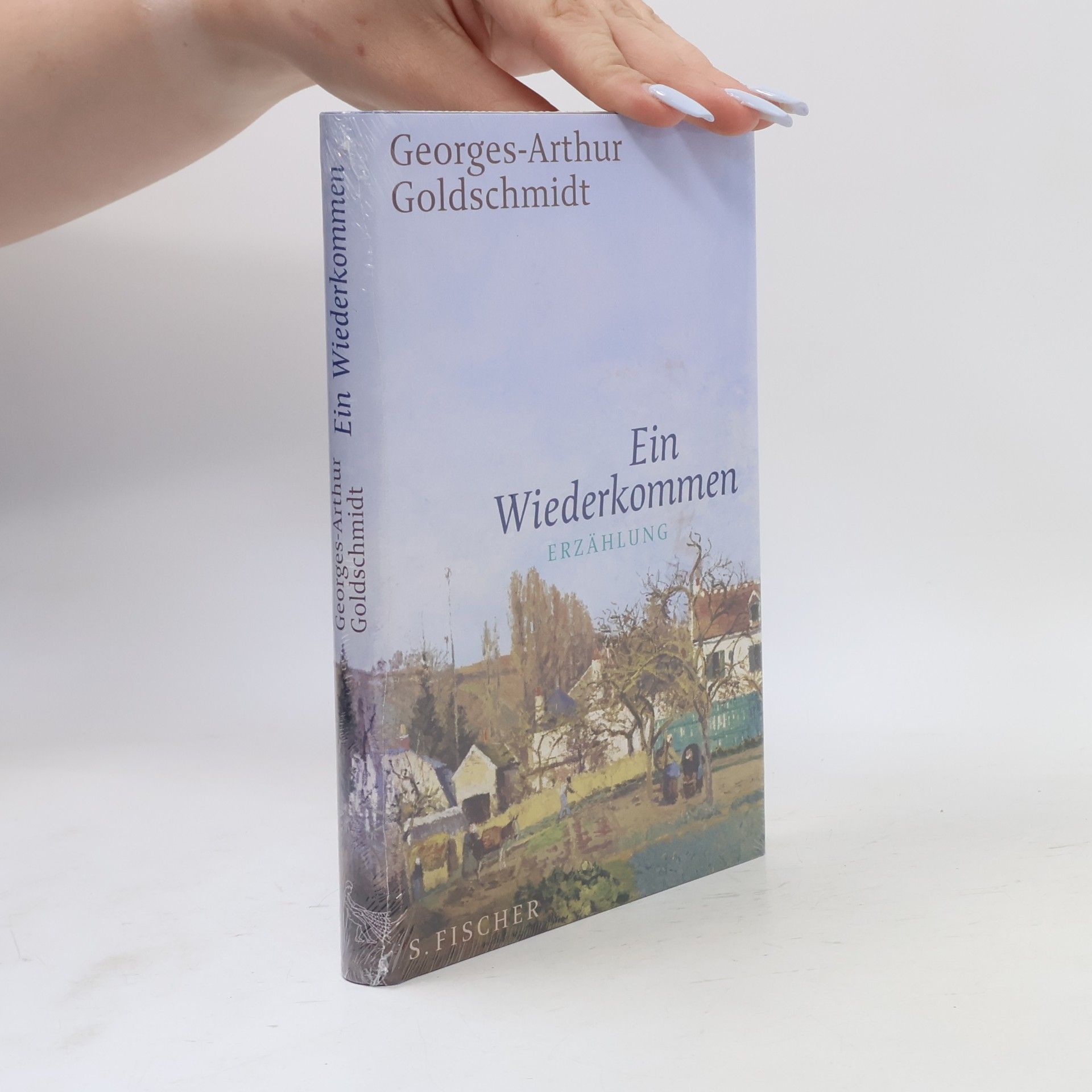 Georges-Arthur Goldschmidt Ein Wiederkommen
