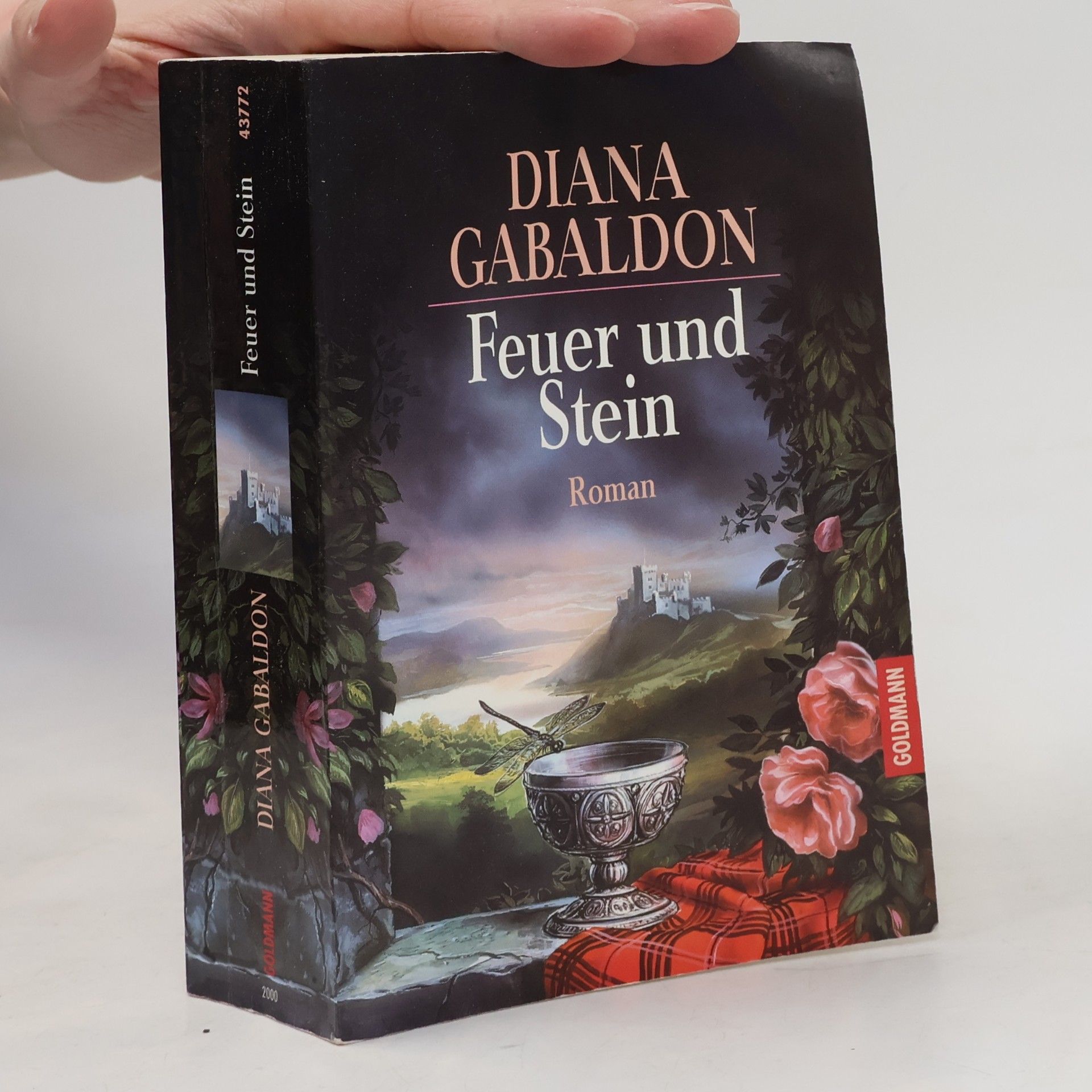 Diana Gabaldon Feuer und Stein