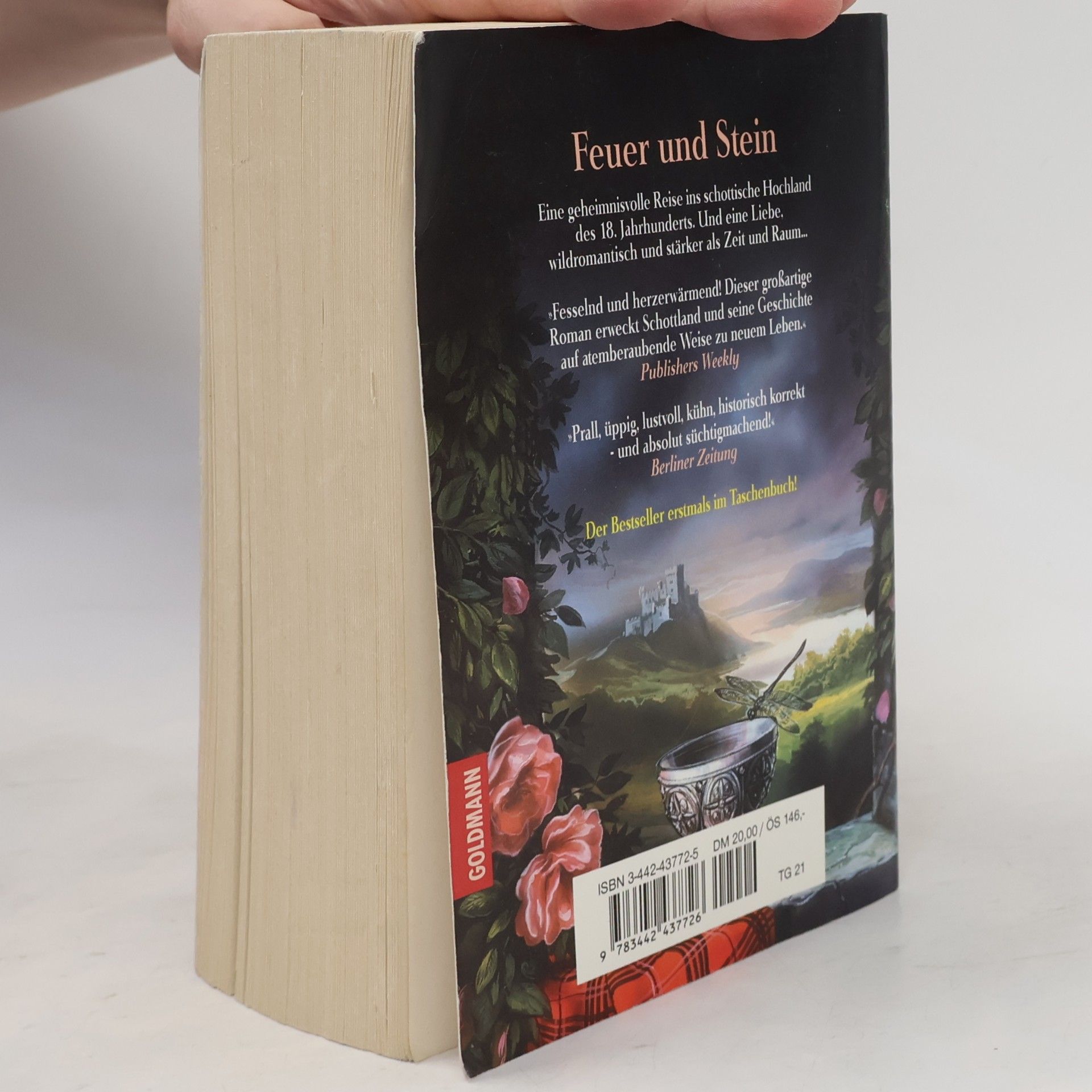 Diana Gabaldon Feuer und Stein