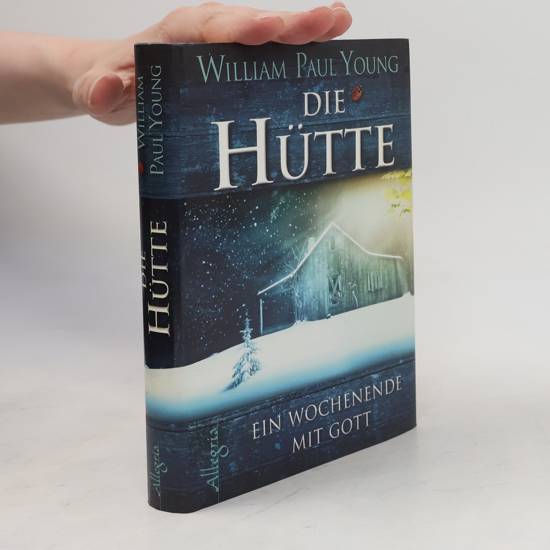 William P. Young Die Hütte