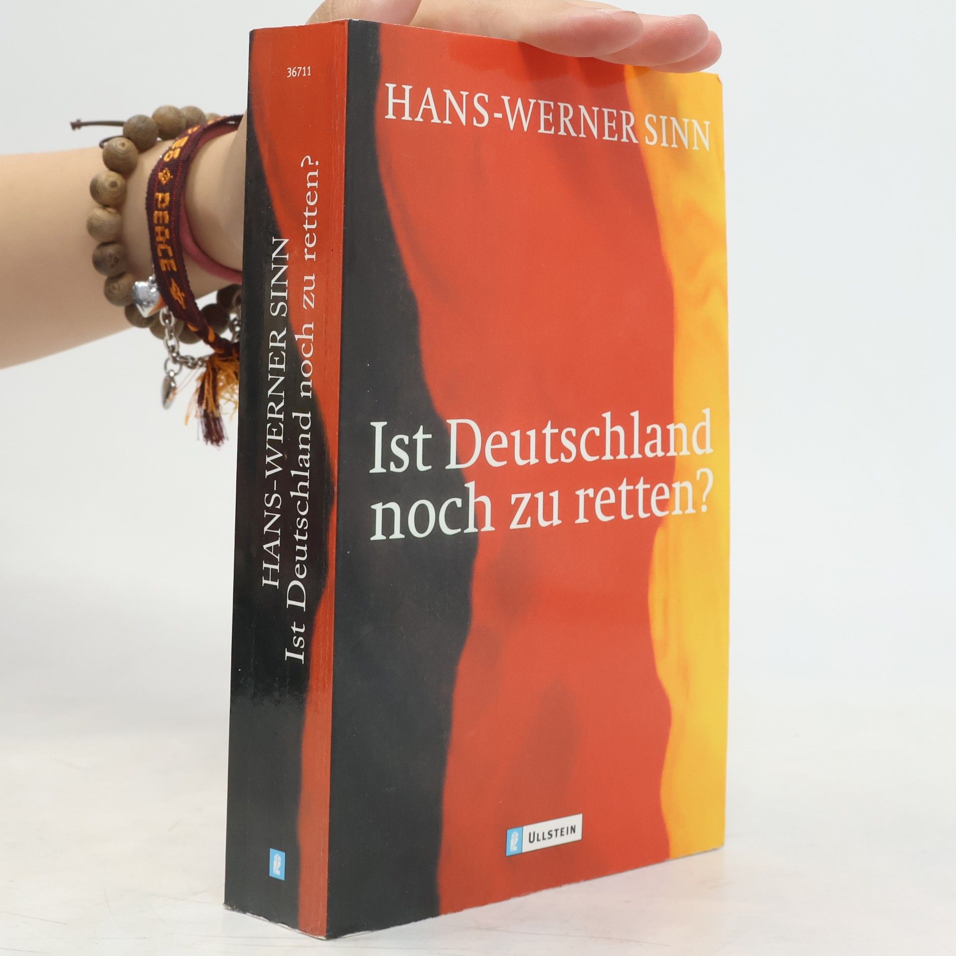 Werner Sinn Ist Deutschland noch zu retten?